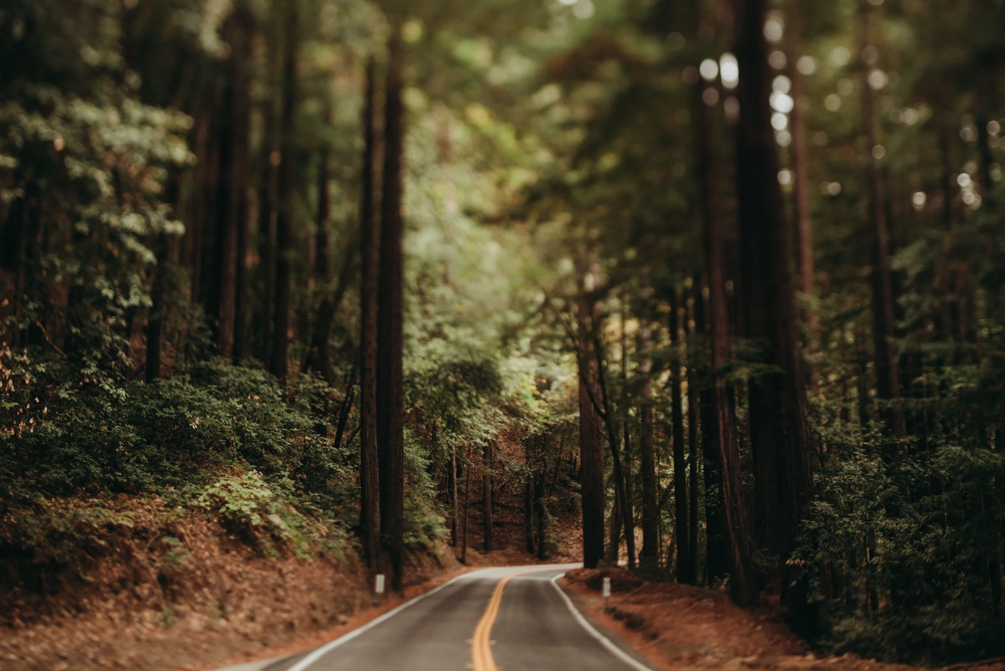 ©The-Ryans-Photography---Santa-Cruz-Lifestyle-Travel-002.jpg