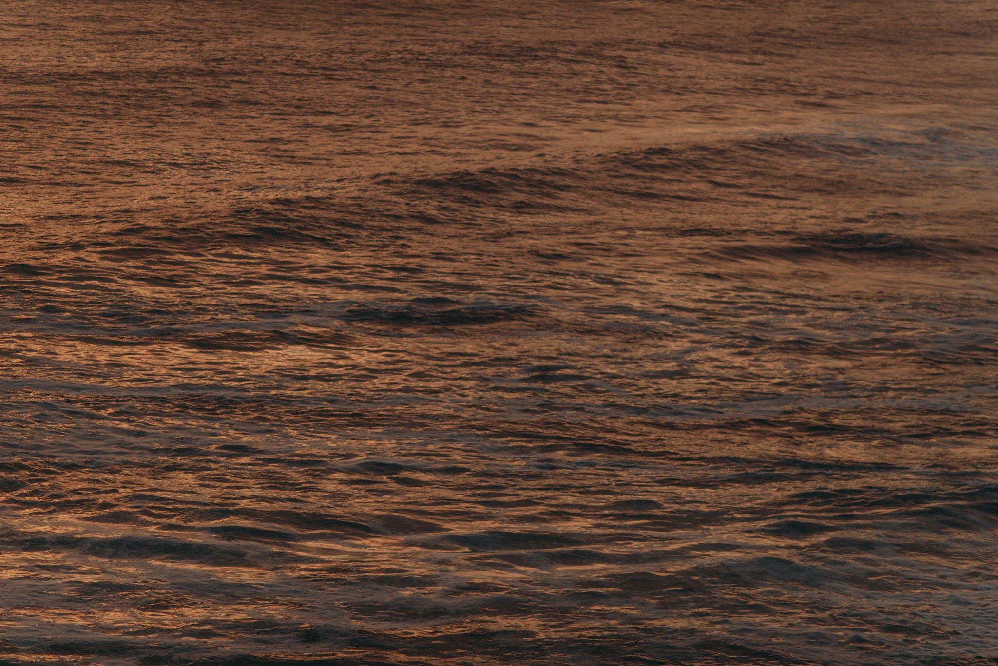 ©The-Ryans-Photography---Santa-Cruz-Lifestyle-Travel-038.jpg