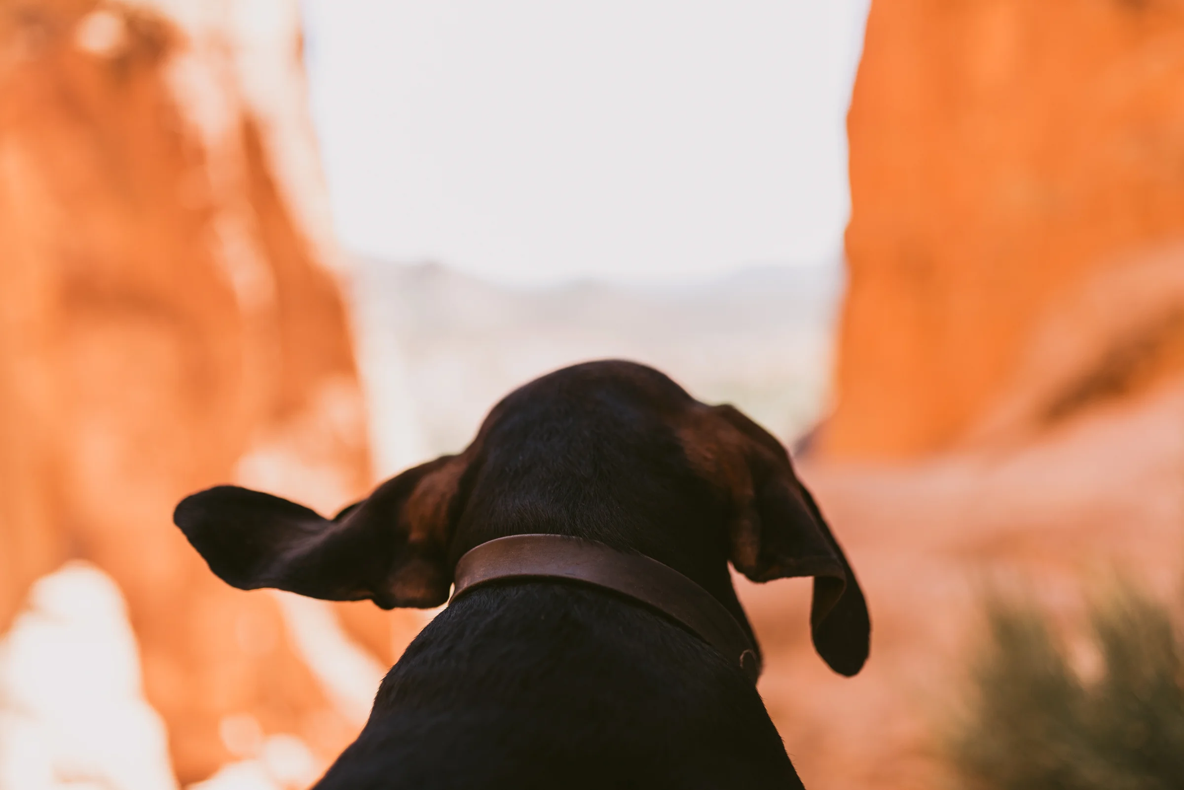 ©The Ryans Photography - Sedona Travel-14.jpg