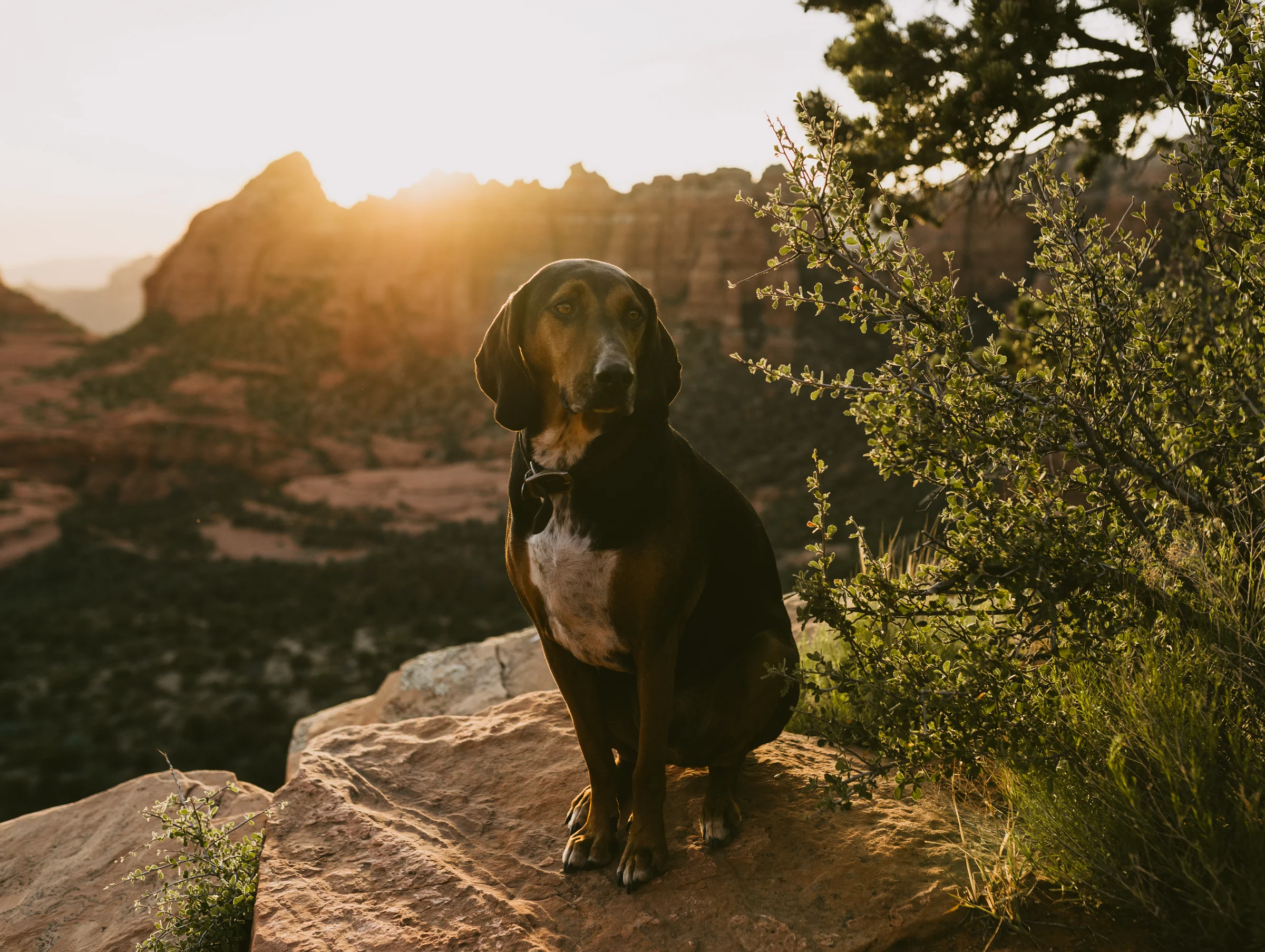 ©The Ryans Photography - Sedona Travel-37.jpg