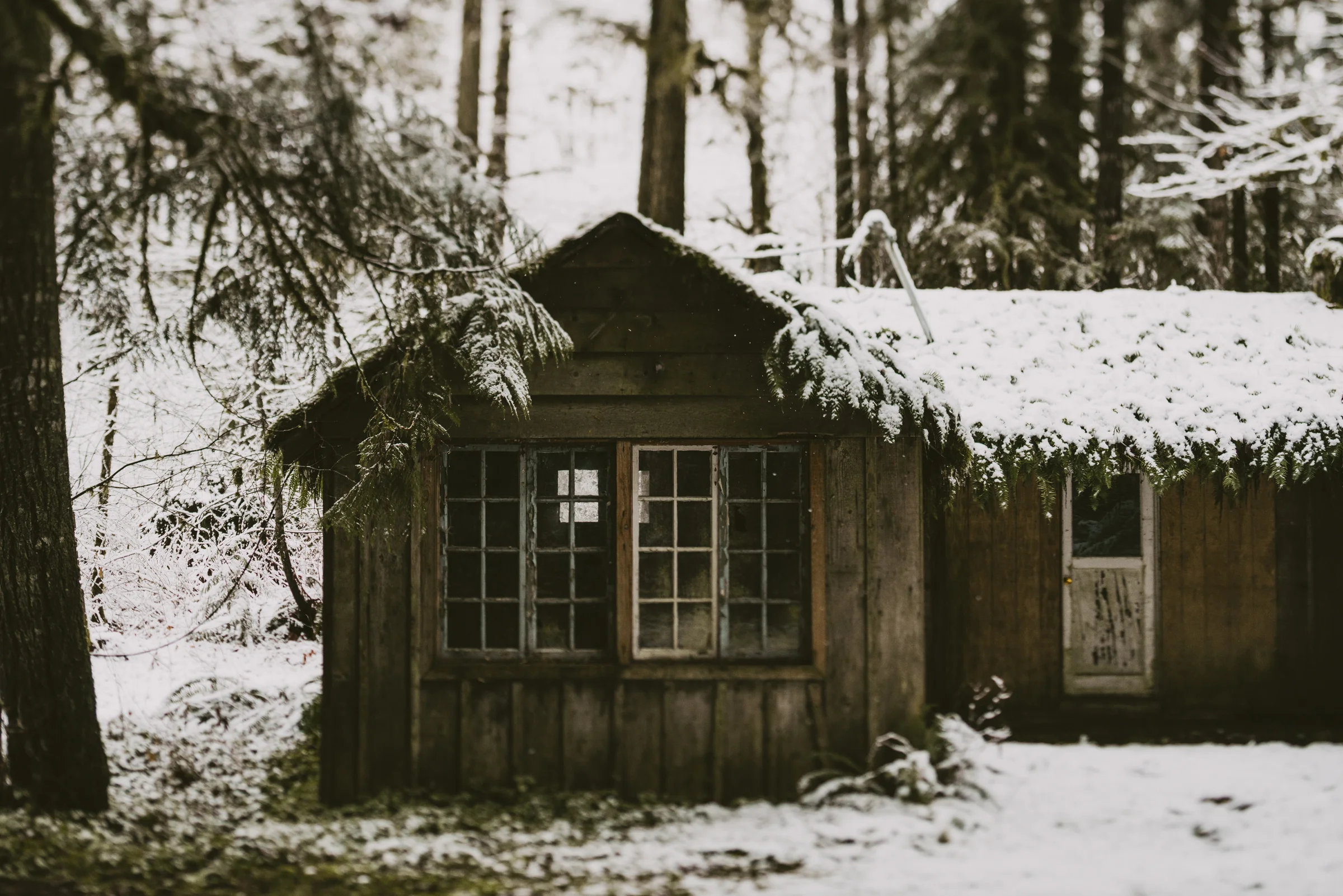 ©TheRyans- Winter Travel, Colton Oregon -24.jpg