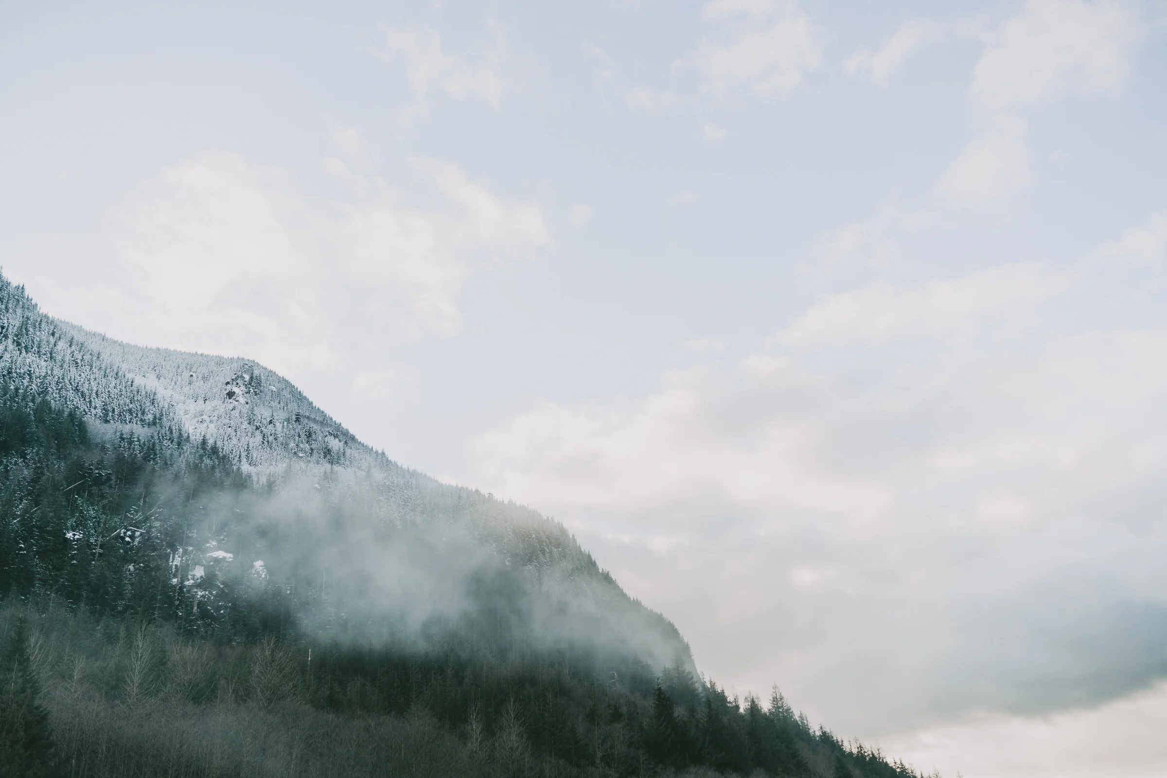 ©The Ryans Photography - Snoqualmie Travel, Washington-2.jpg