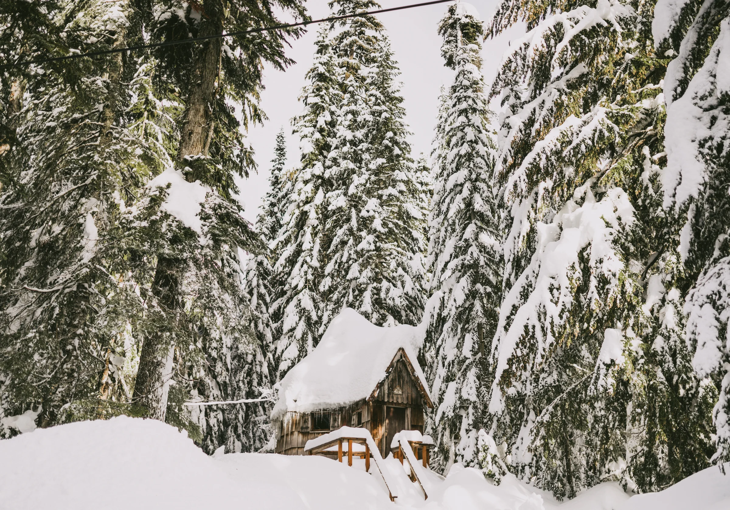 ©The Ryans Photography - Snoqualmie Travel, Washington-10.jpg