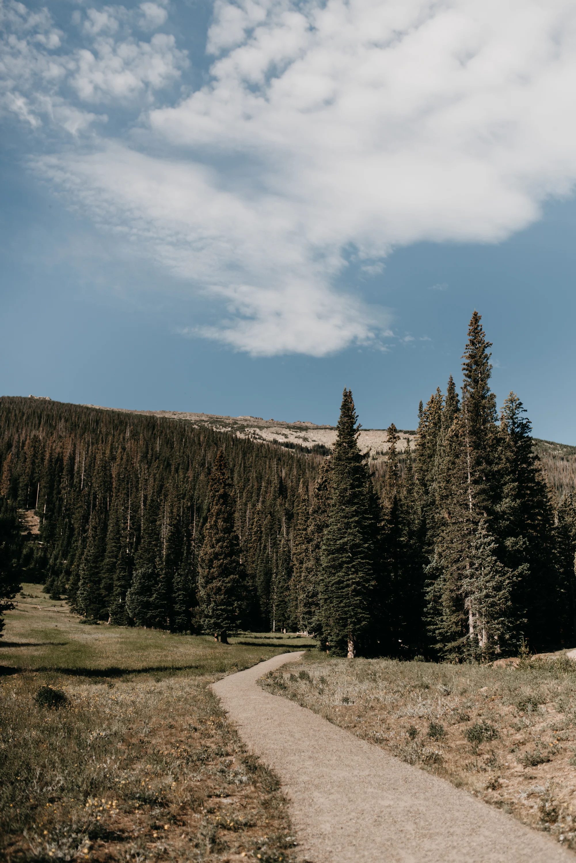 © The Ryans Photo - Estes Park, Colorado-20.jpg