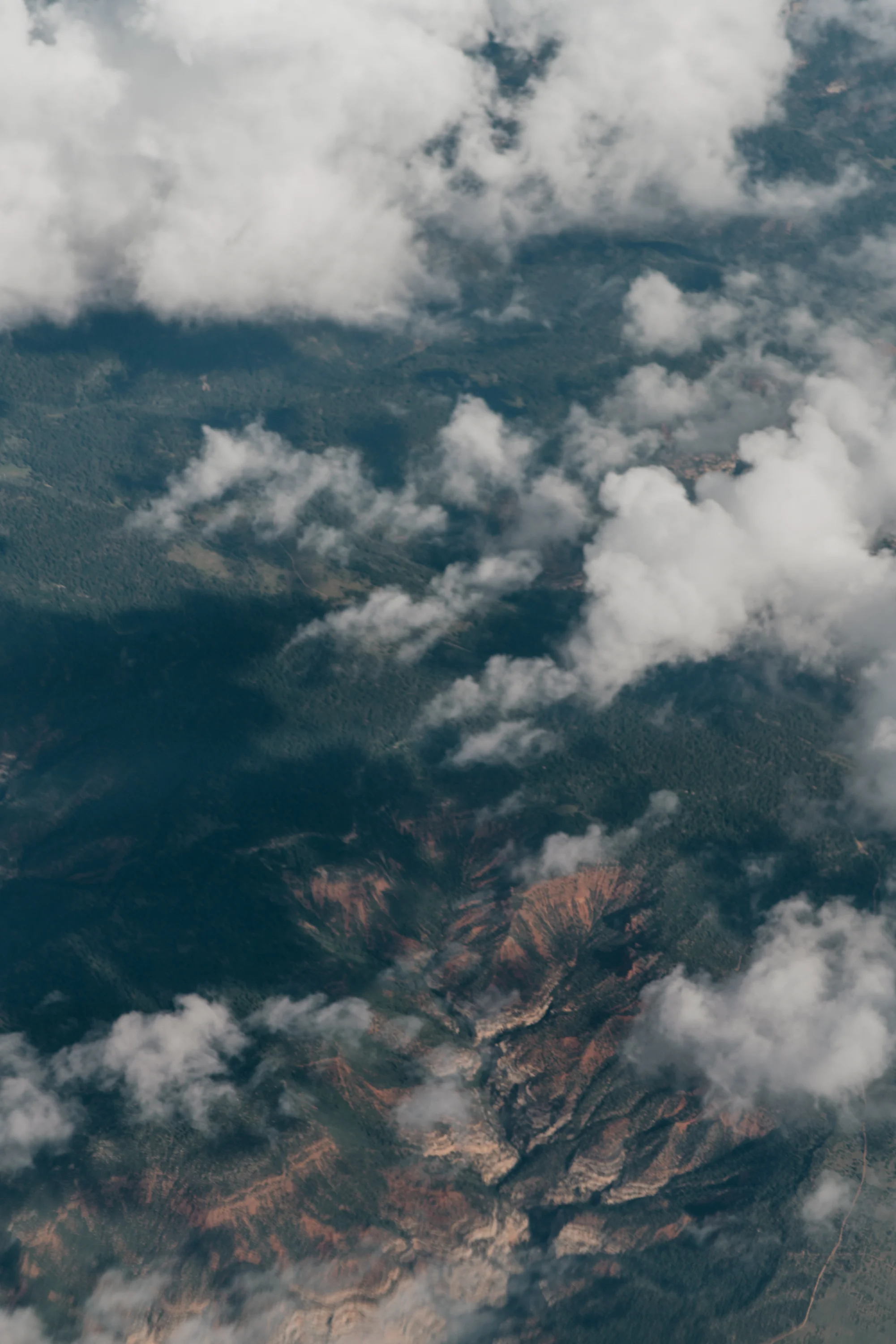 © The Ryans Photo - Estes Park, Colorado-73.jpg