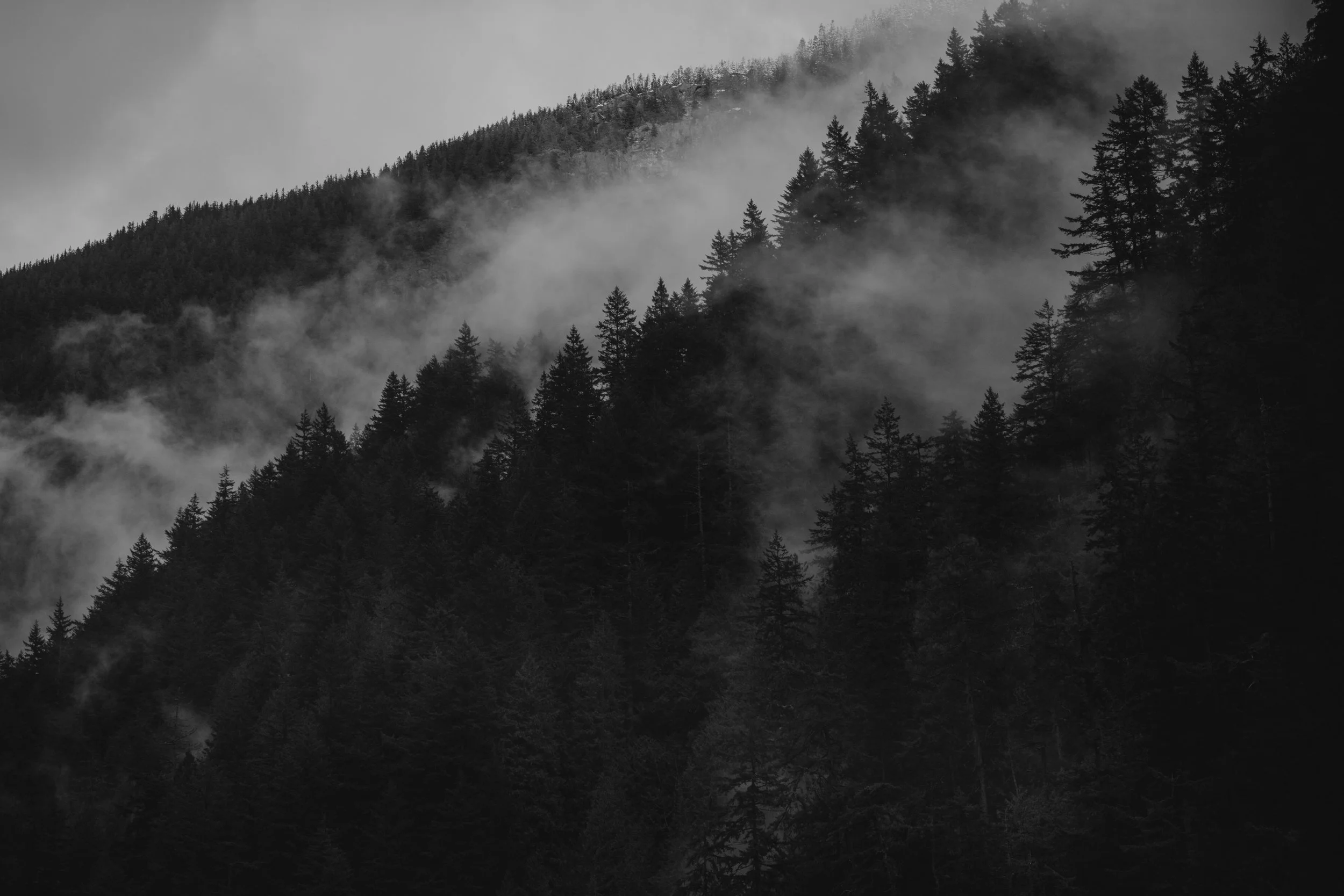 ©The Ryans Photo - Alberta, Canada Travel-3.jpg