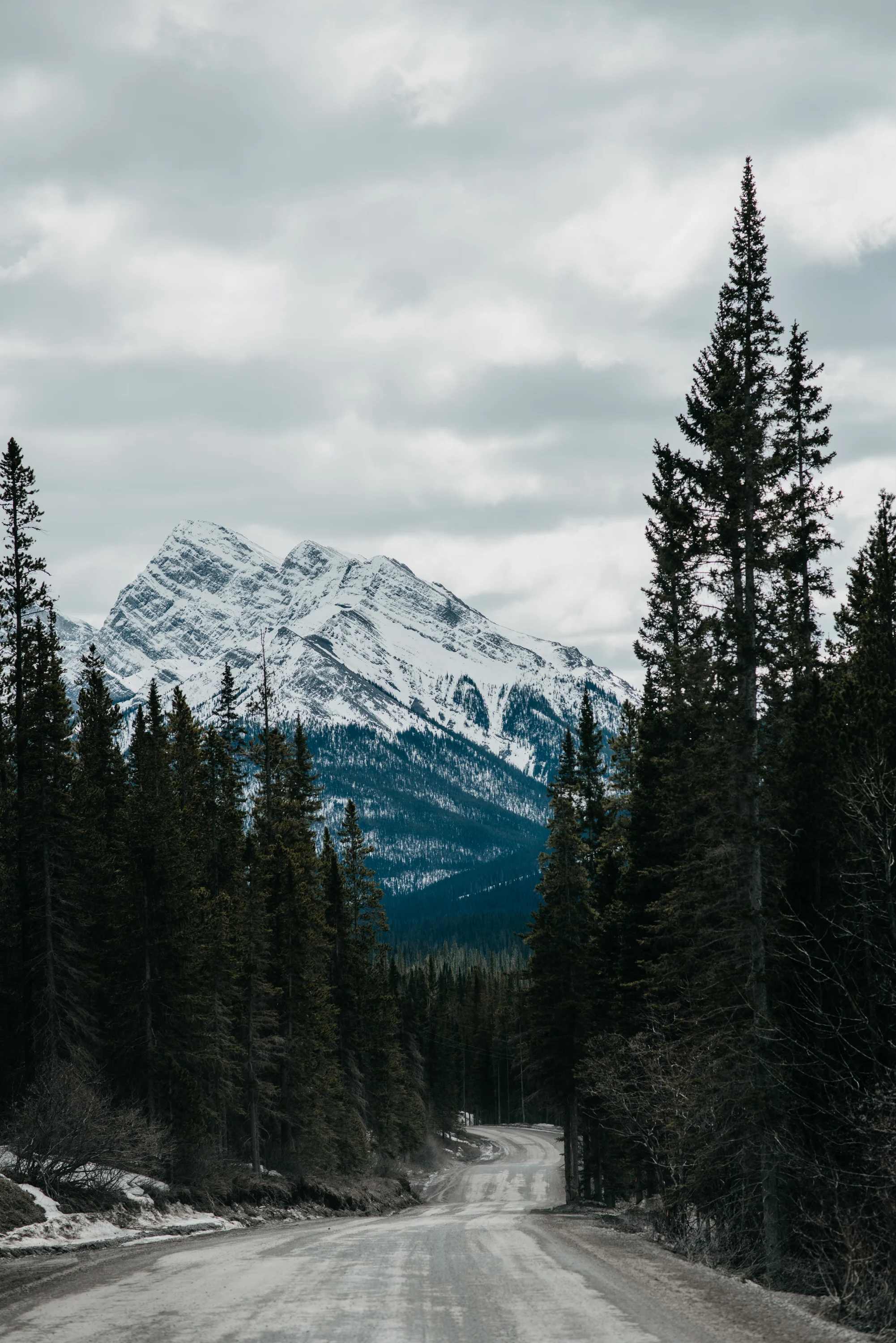 _D802706.jpg