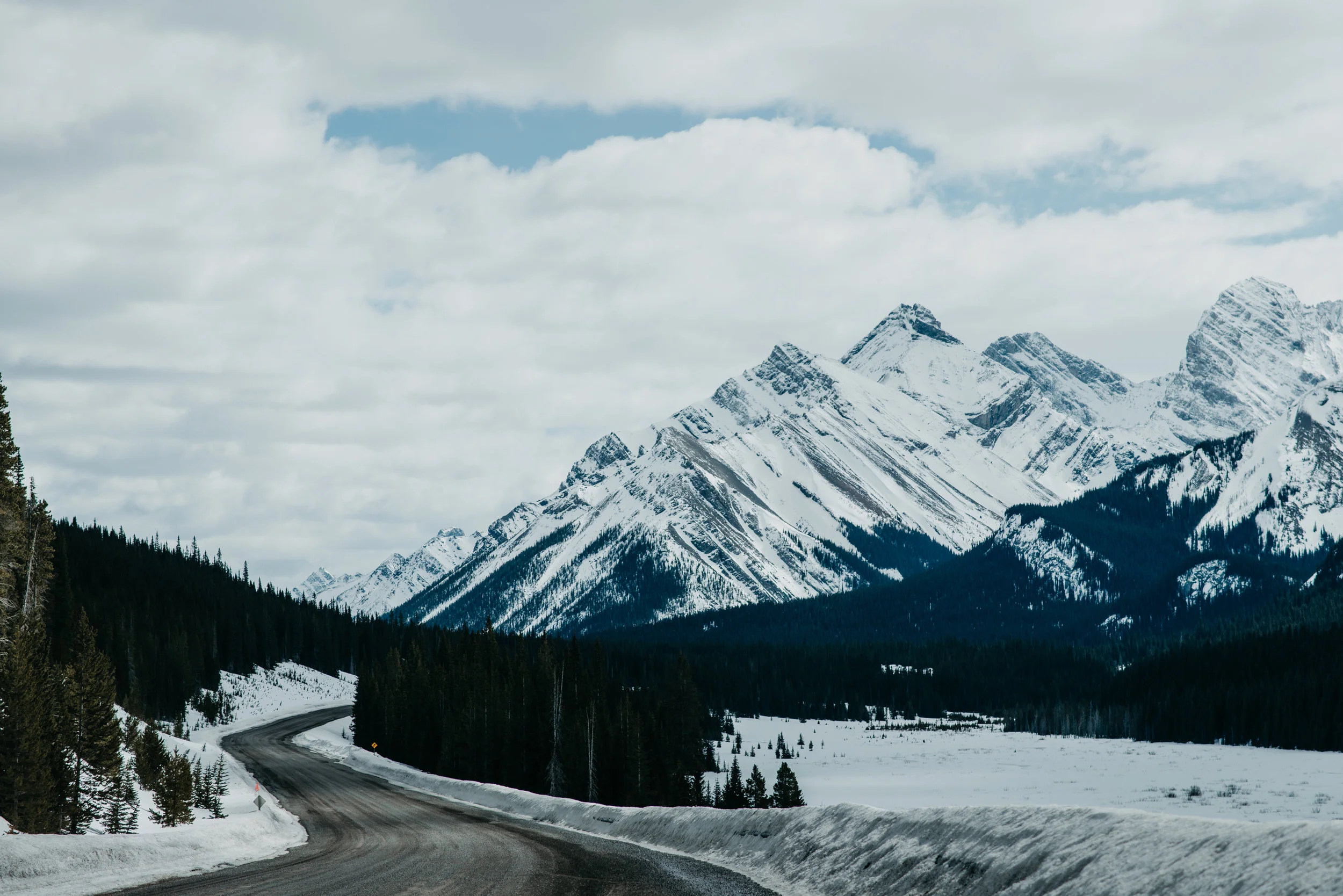_D802752.jpg