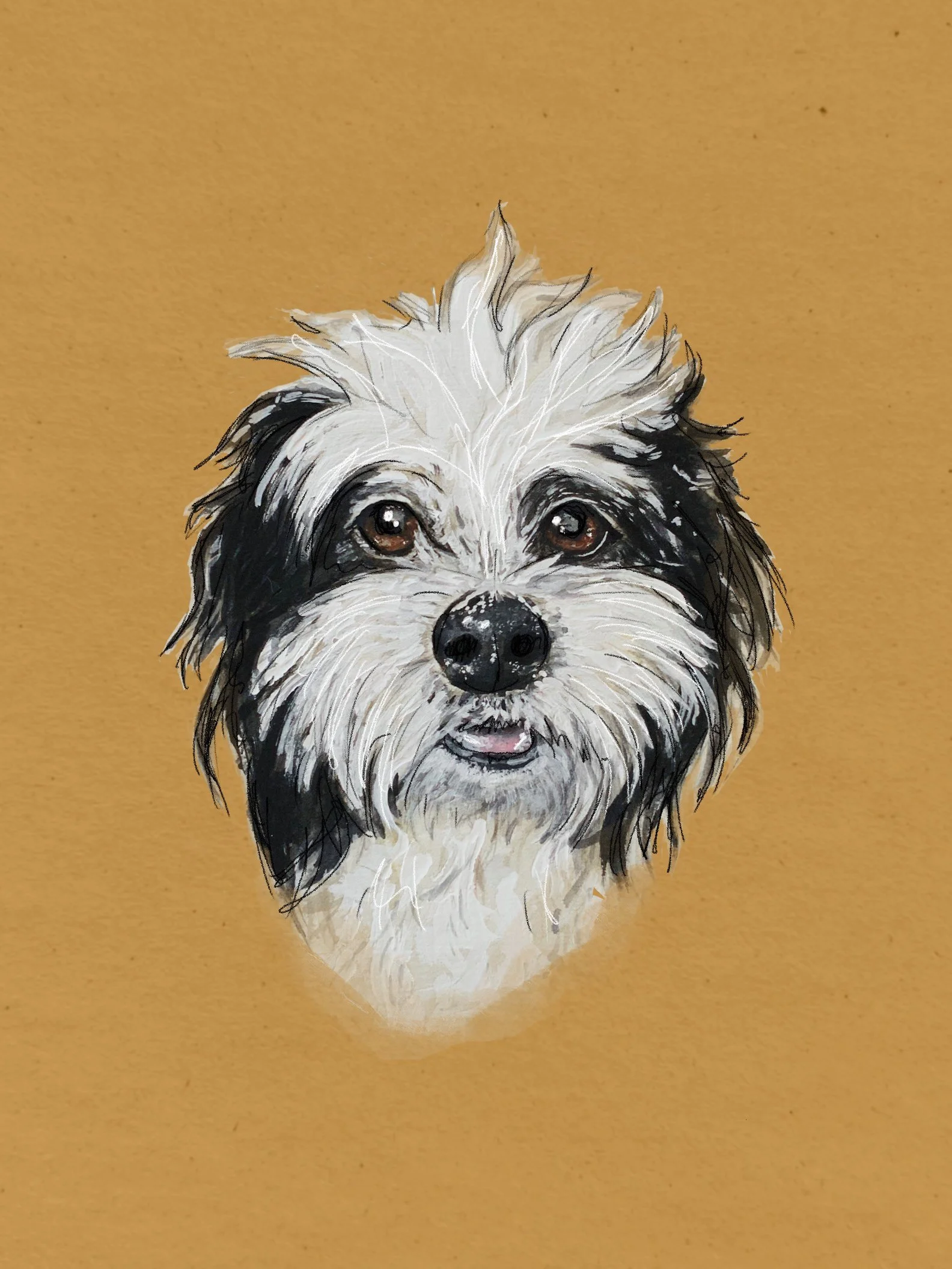 pet paintings - taylorcatherine.com4.JPG