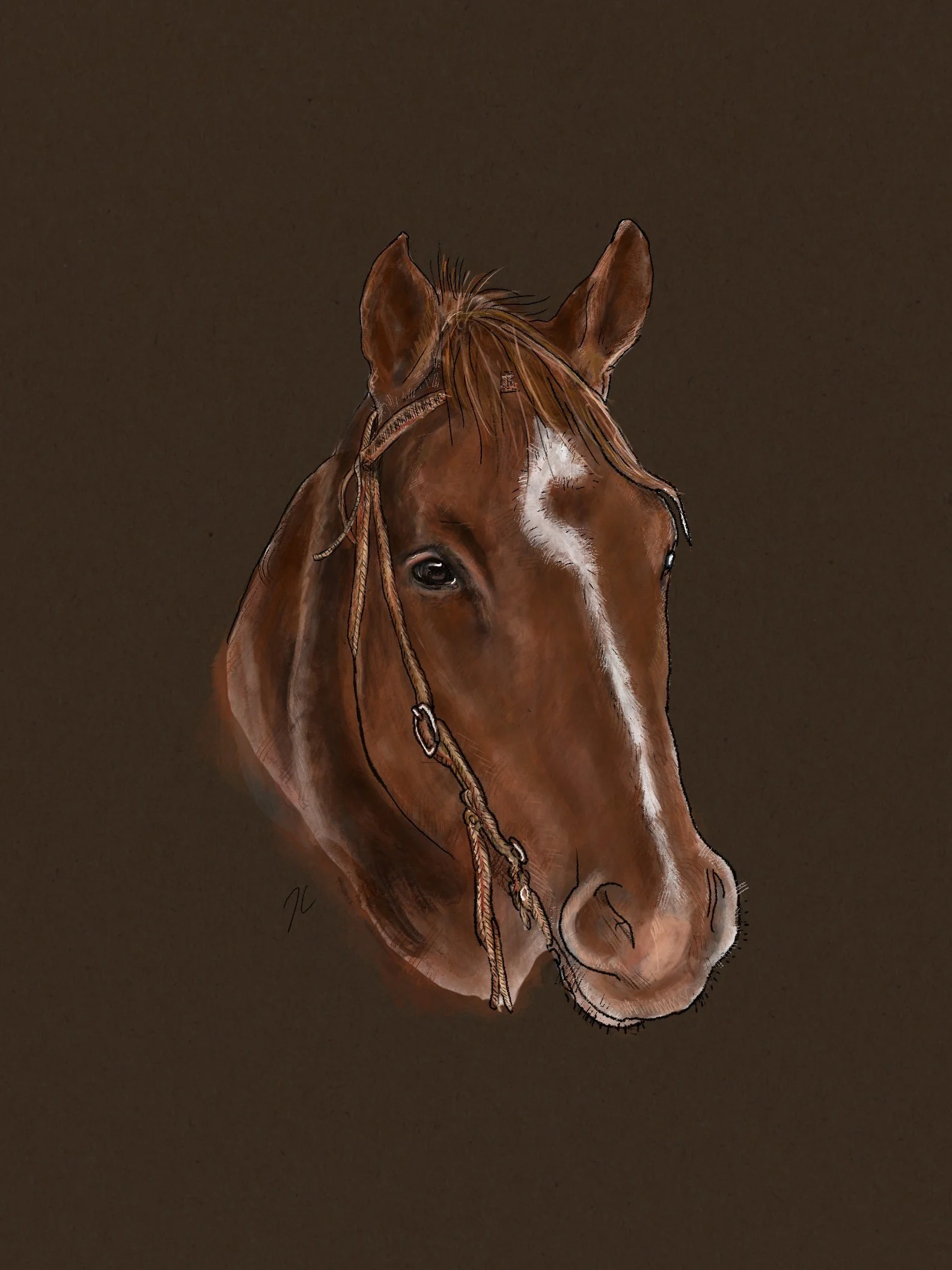 pet paintings - taylorcatherine.com5.JPG