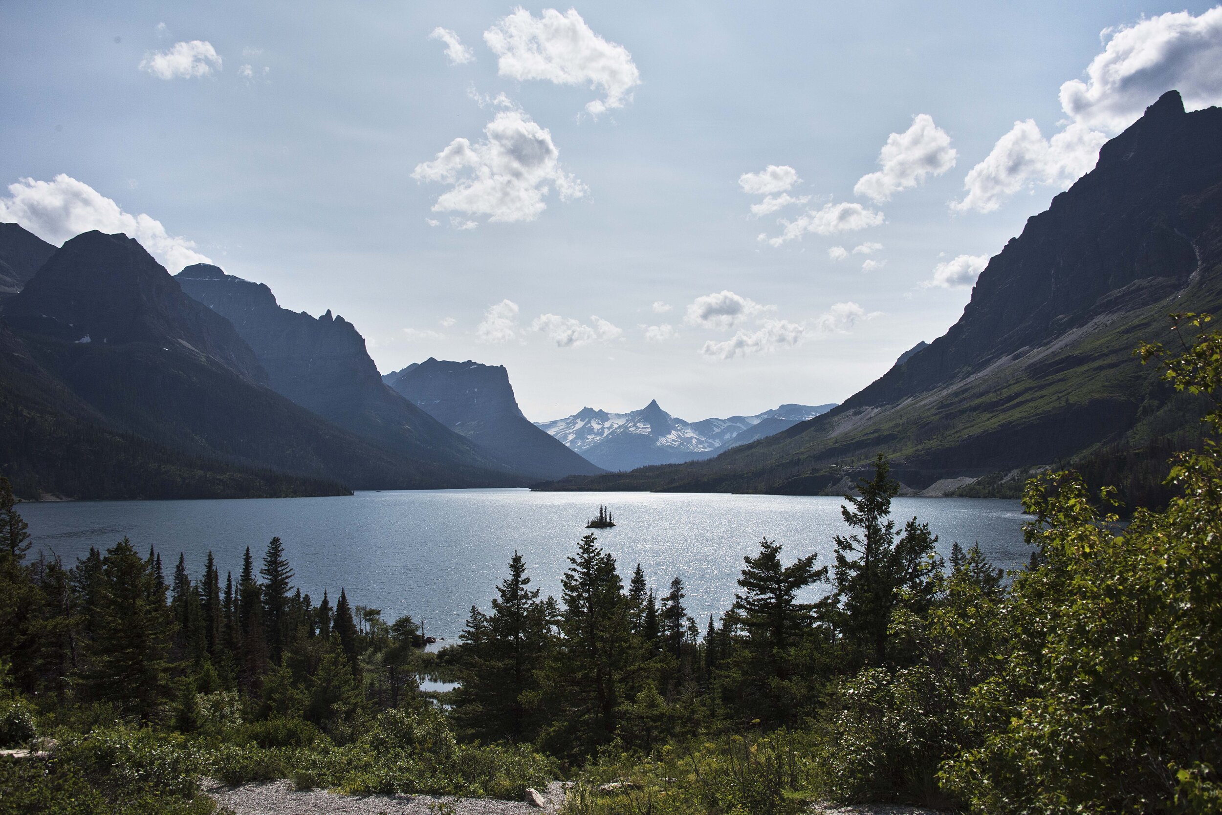 d81_8576.jpg