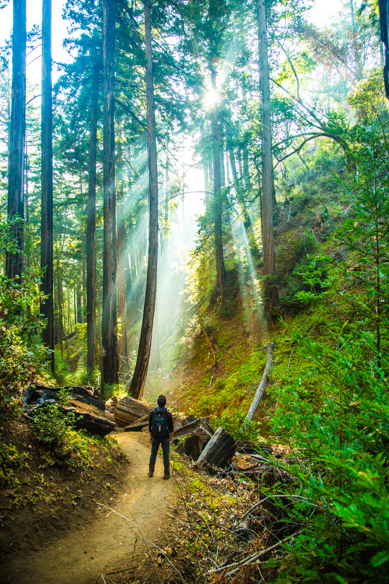 Big Sur-6410.jpg