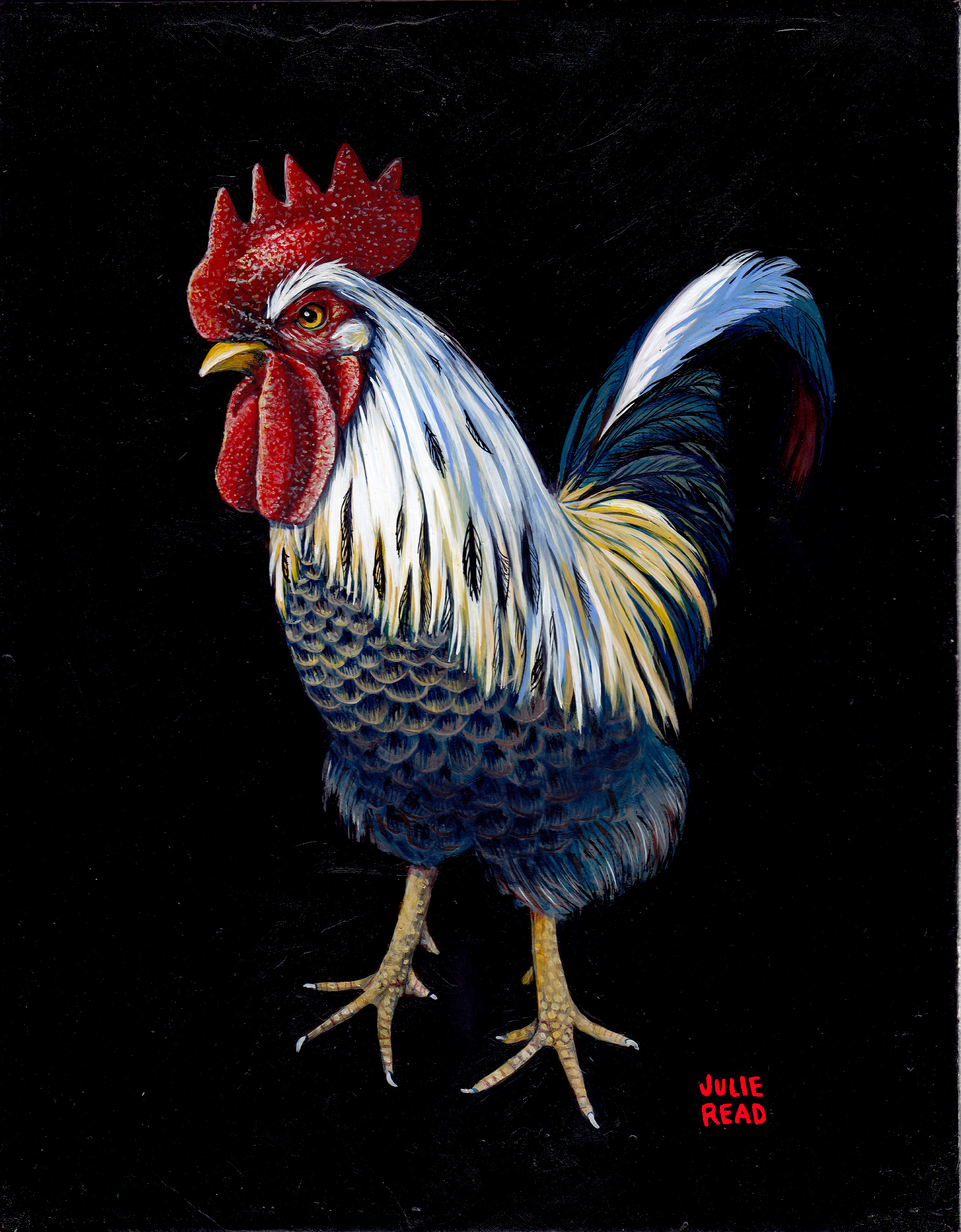 horace the rooster signature.jpg