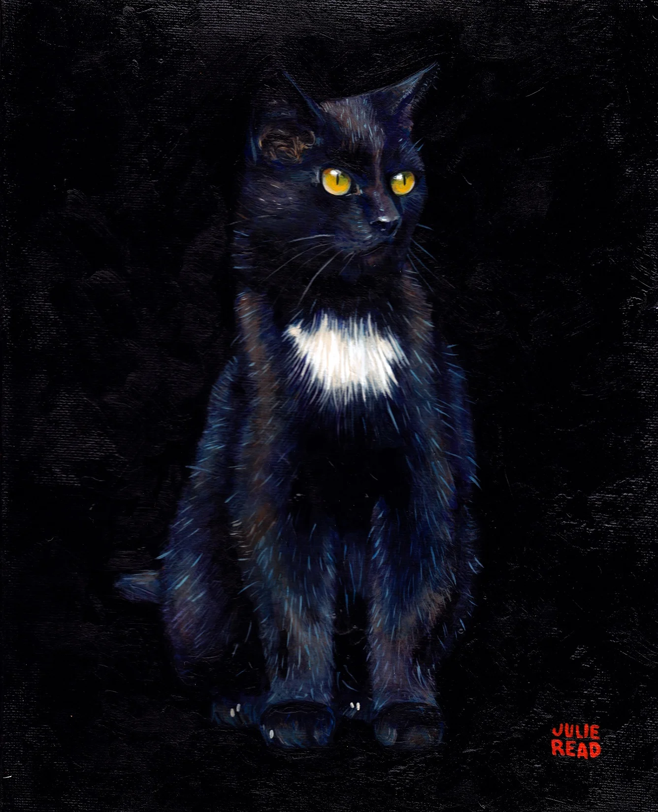 black cat smaller.jpg