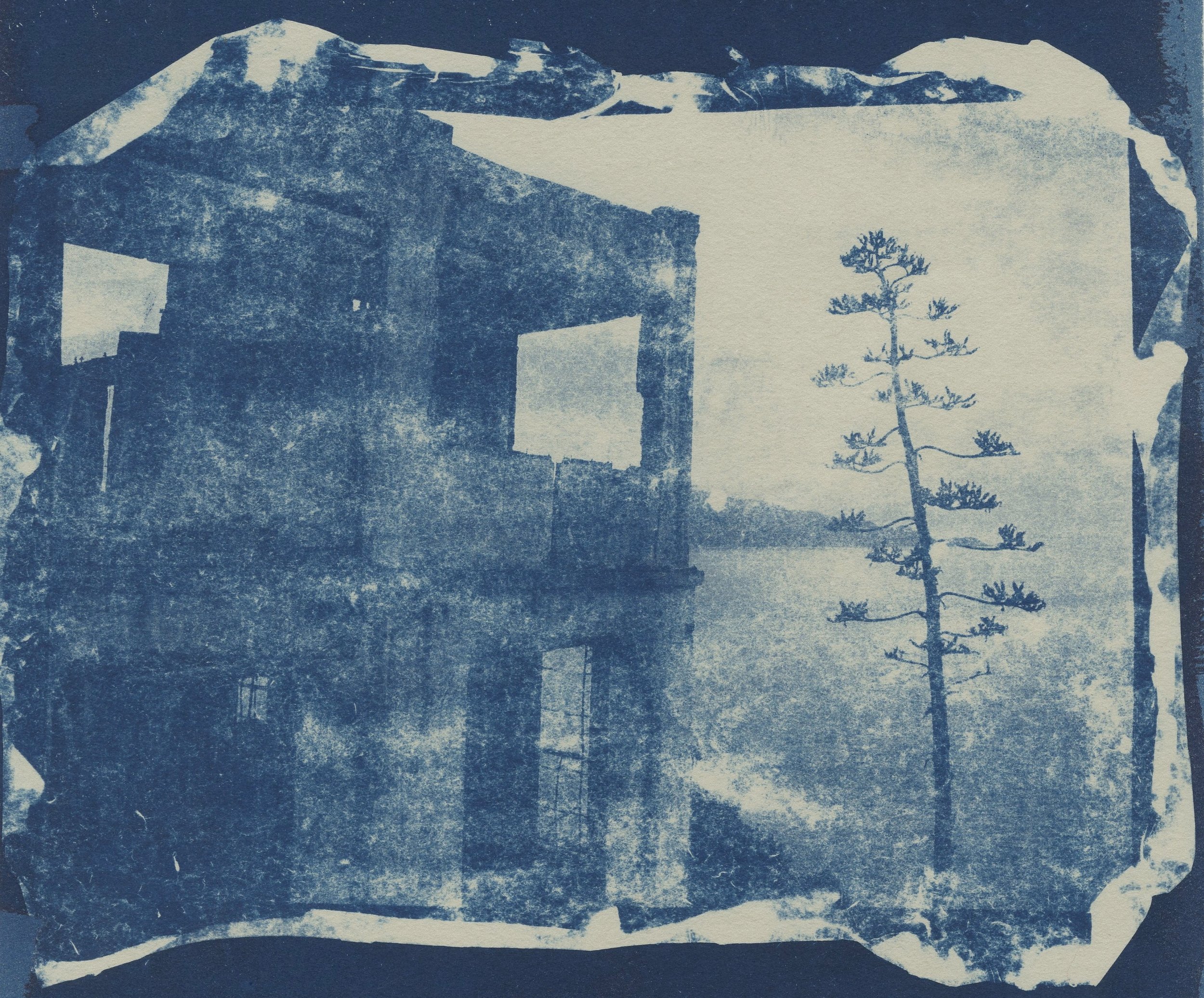 Rissi_cyanotype_example2.jpg