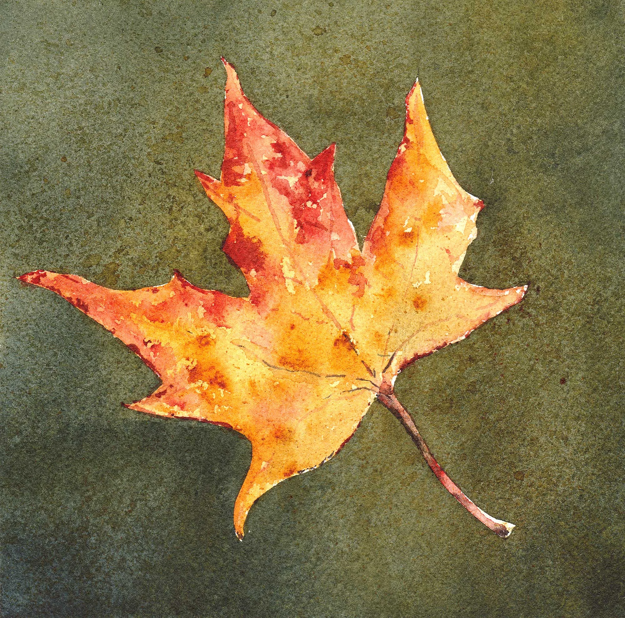 leaf_study.jpg