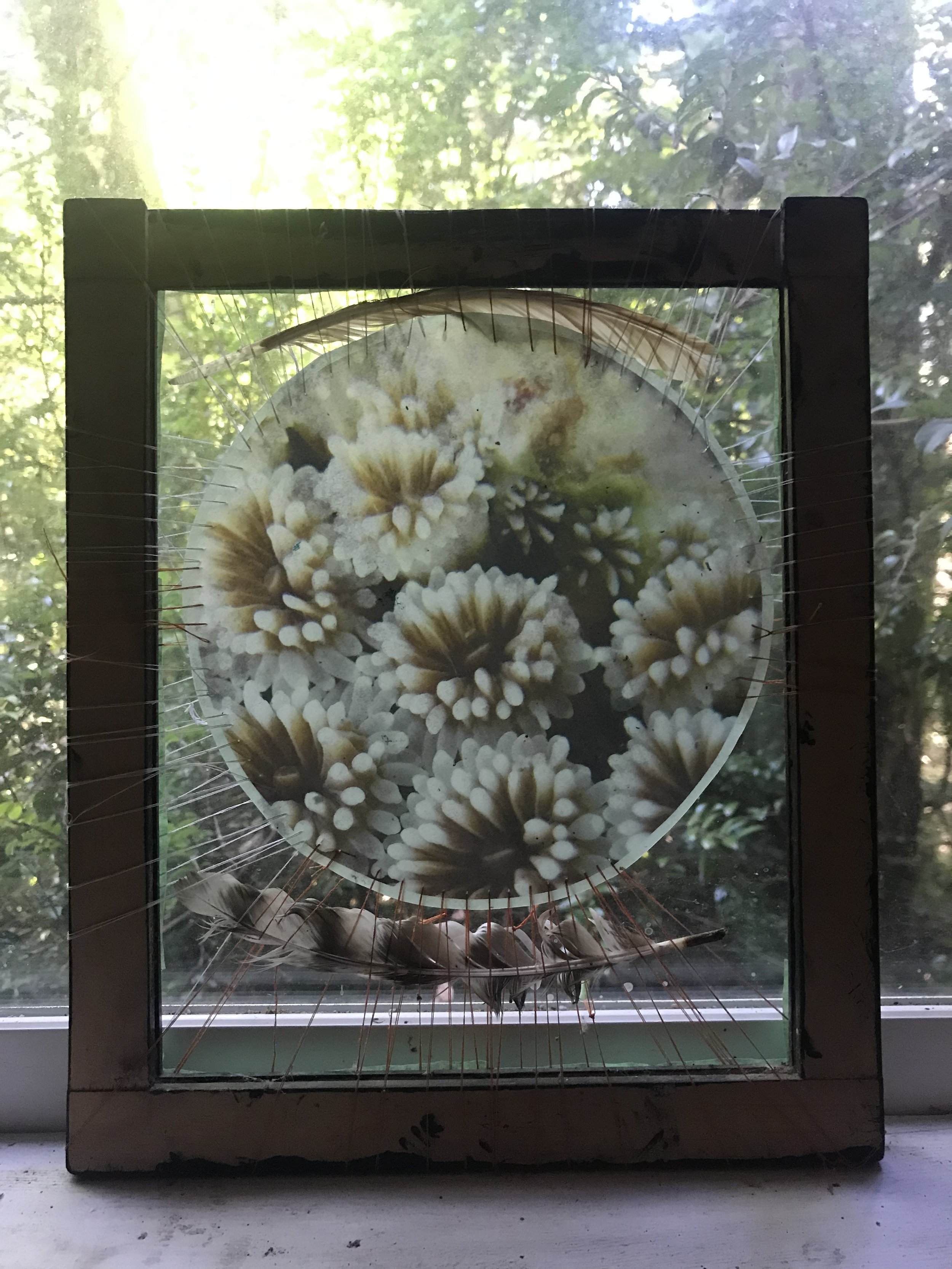 image1.jpeg