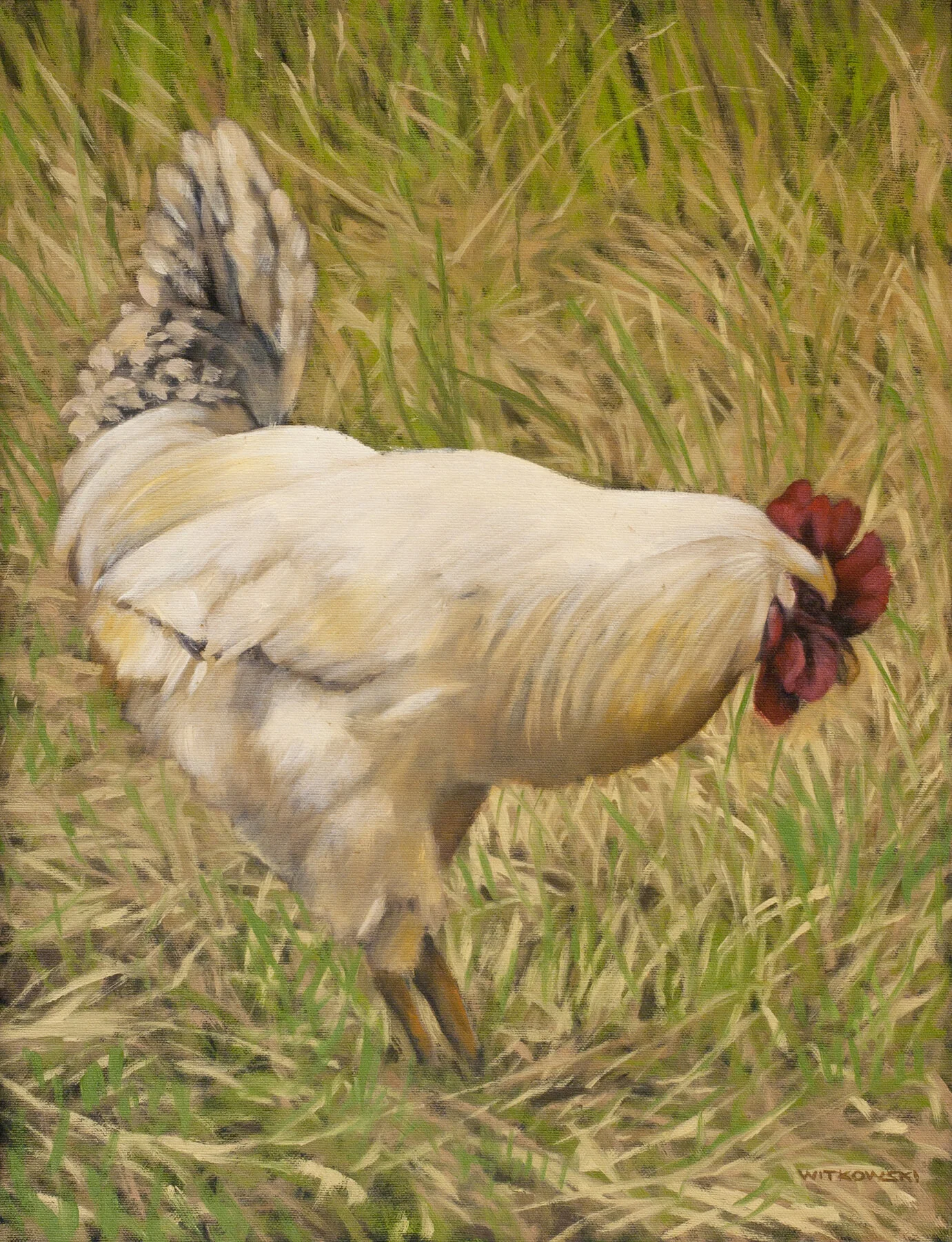 Chicken Scratch.jpg