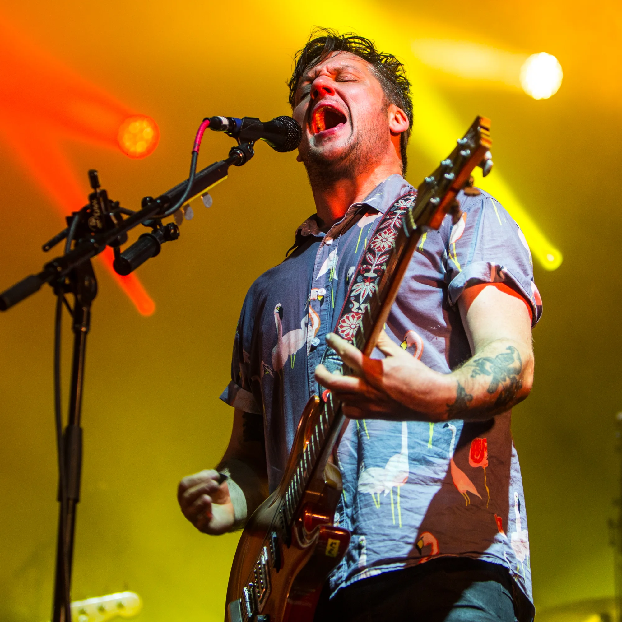 11-Modest-Mouse-Large.jpg