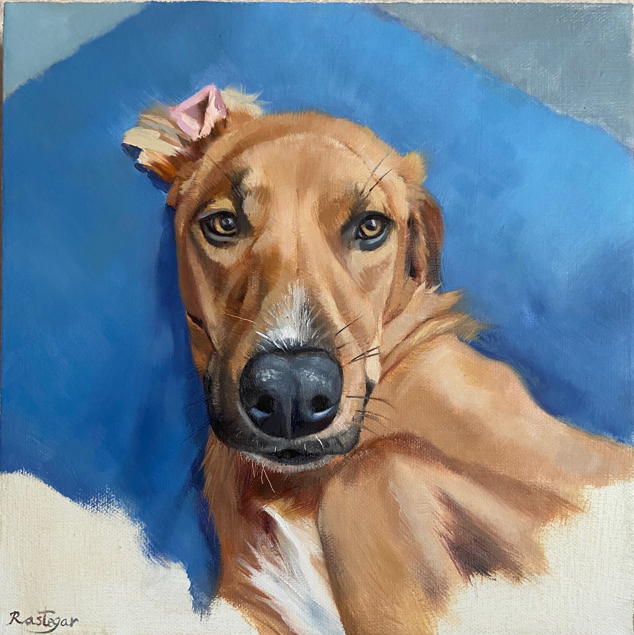 Zoe