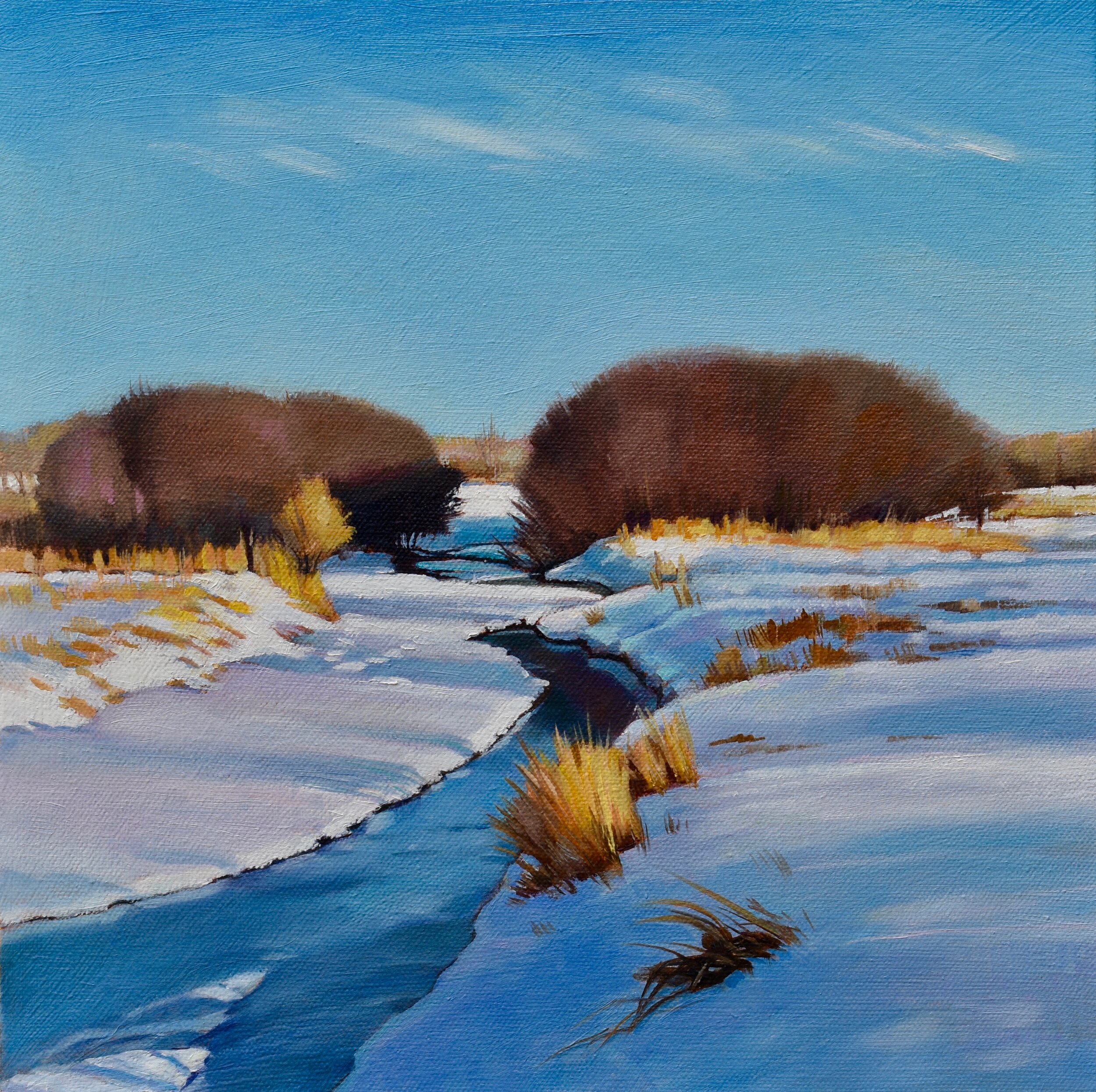 Purgatory Creek in Winter