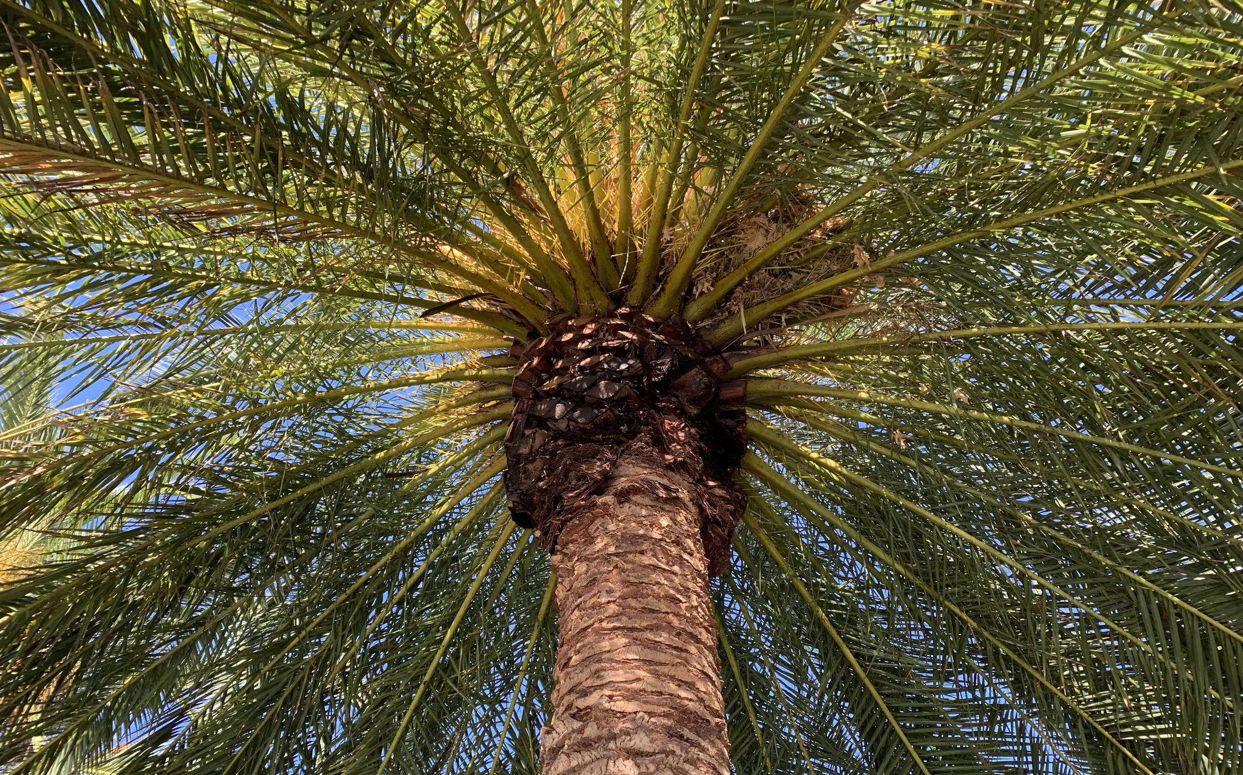 METHODOLOGIES WEB PAGE BANNER.jpg