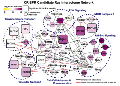 proximal_proteome_400px.png
