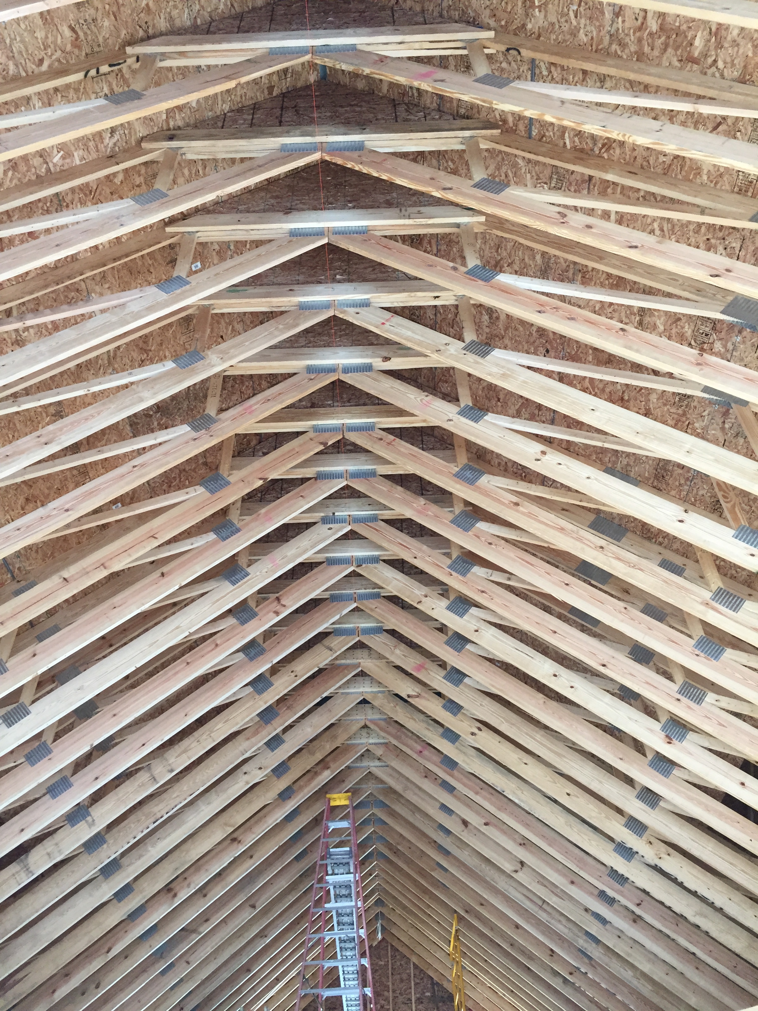 Fuchsia Design: What to Expect on New Construction