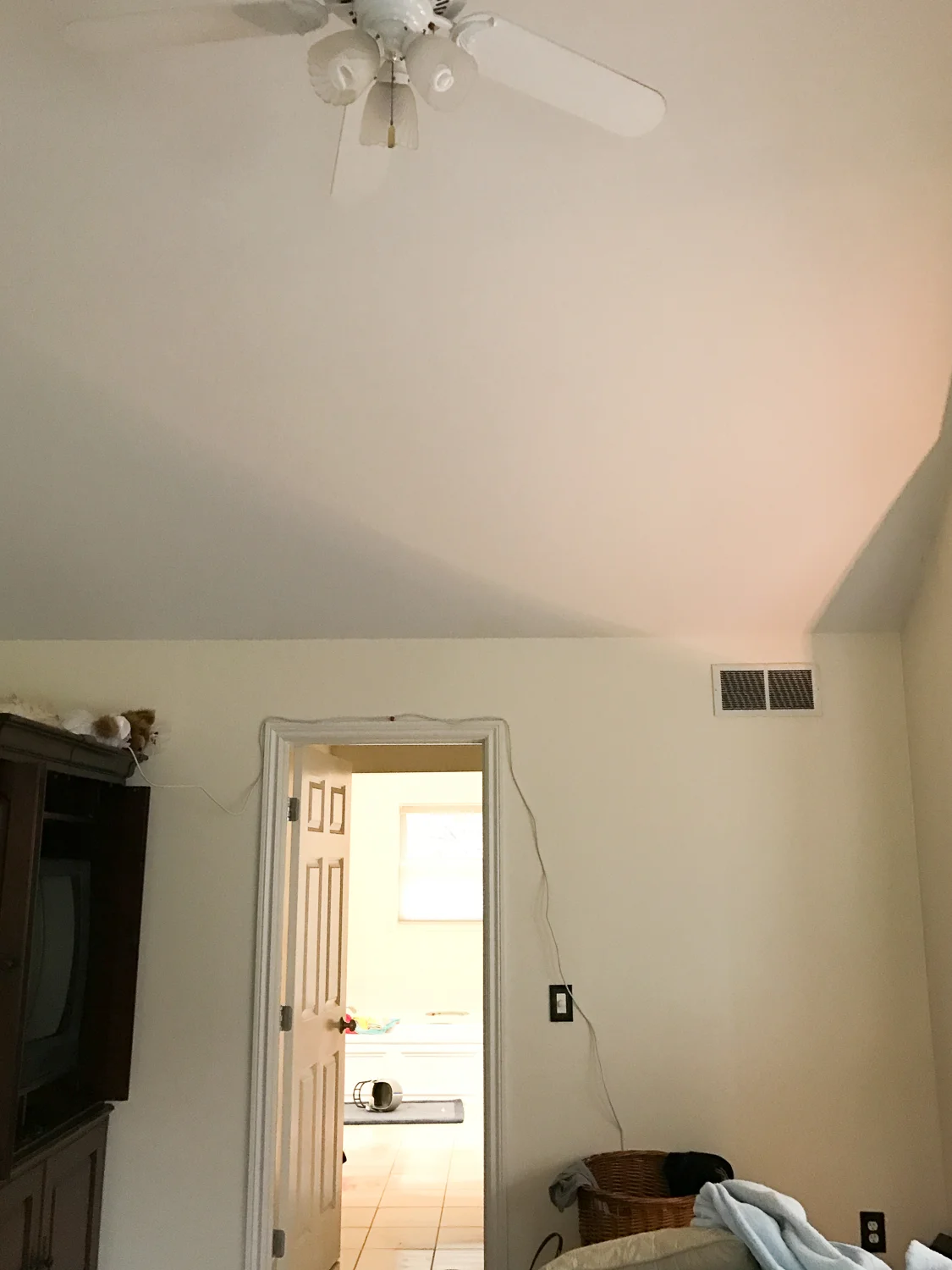 Before Photo