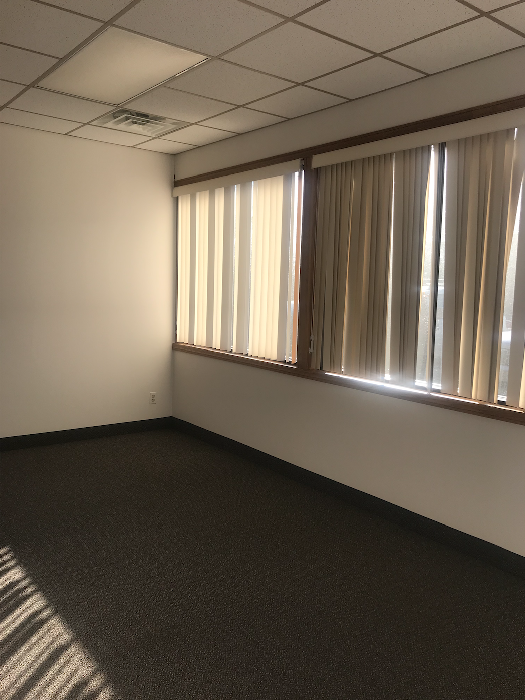 BEFORE - Look at all of that gorgeous morning light pouring in through those hideous vertical blinds!