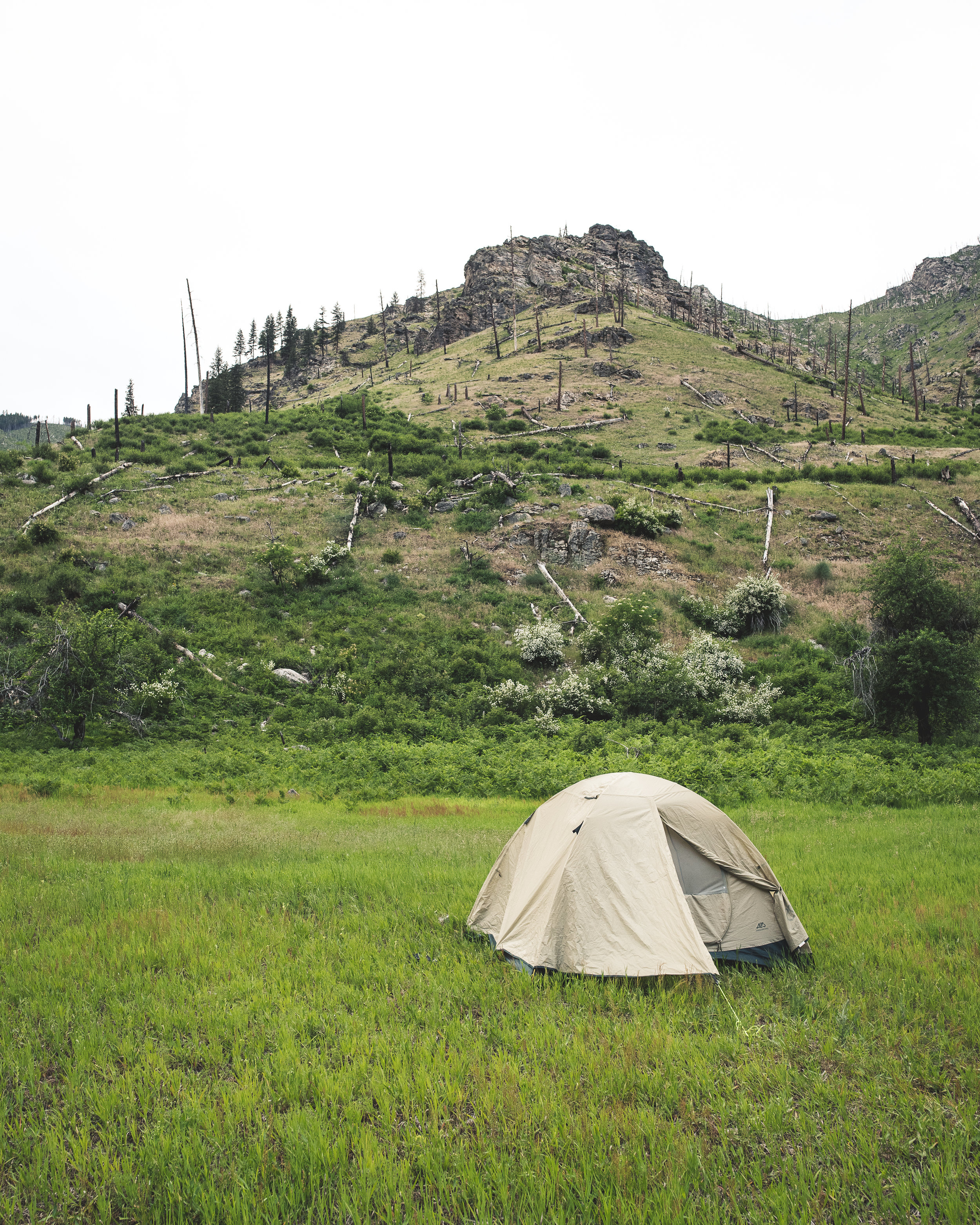 June 2017 OARS Salmon River Trip-42.jpg