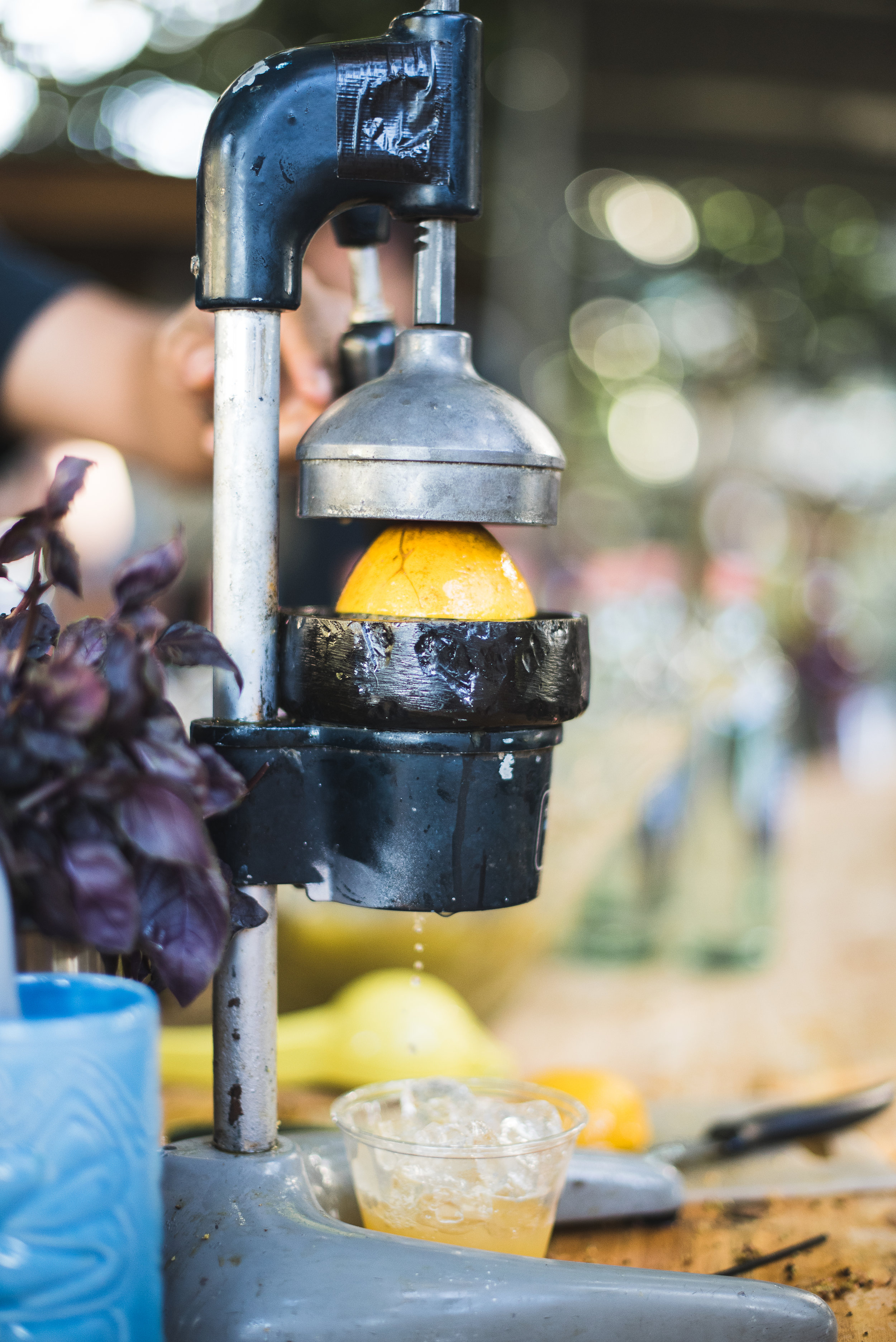 Spoonful Almuerzo en el Campo  -74.jpg