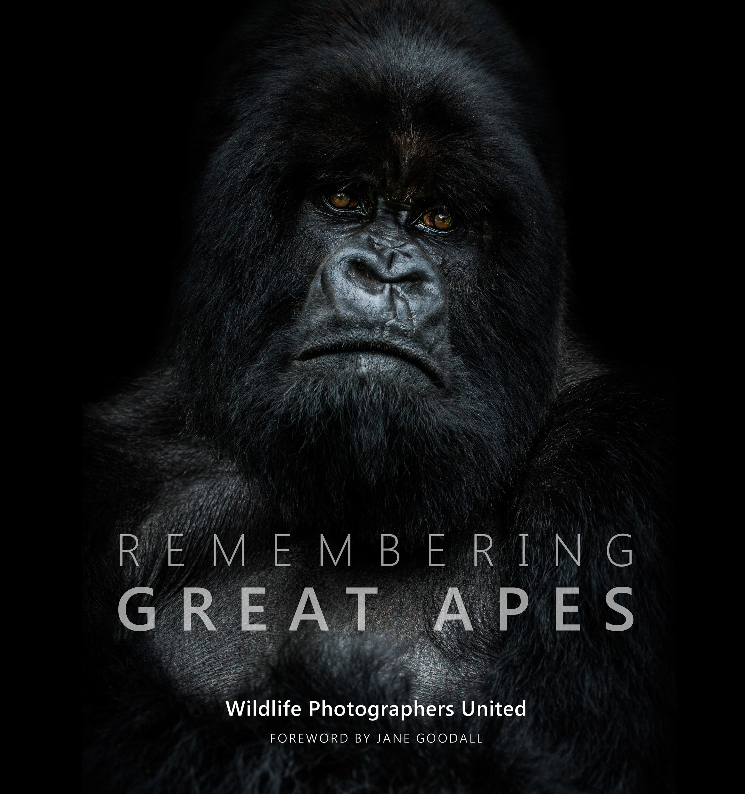 Remembering Great Apes Jacket.jpg