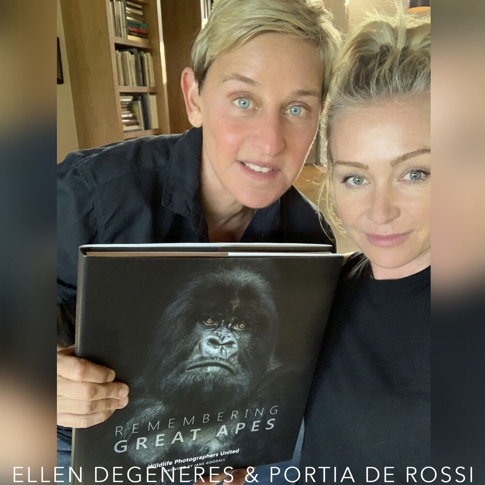 Ellen DeGeneres & Portia de Rossi.jpg