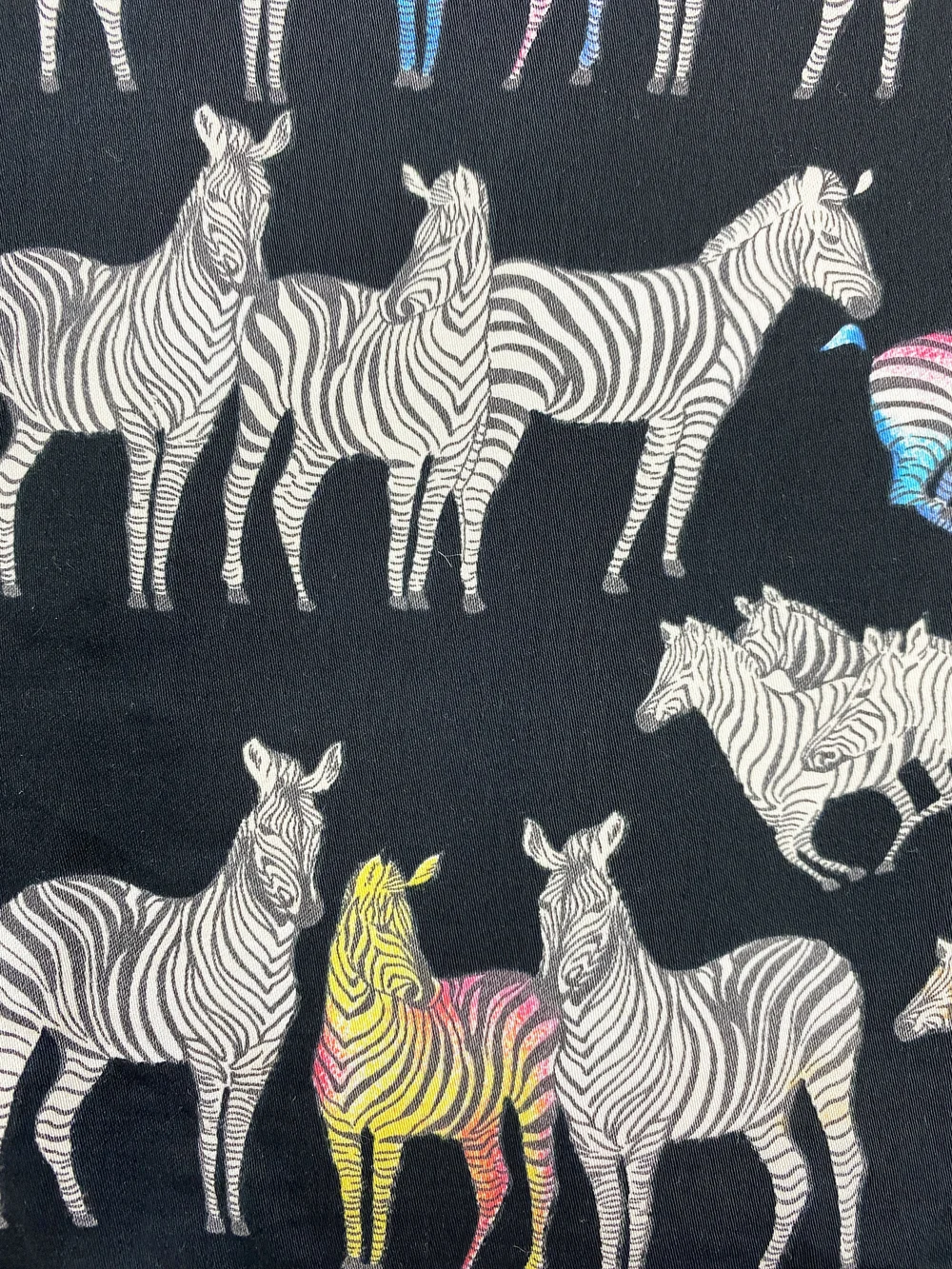 Versace Jeans Couture rainbow zebras print shirt — JAMES VELORIA