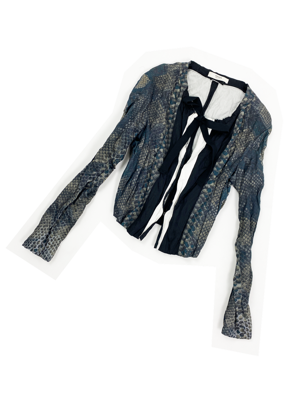 IMG_5188.png?format=1000w