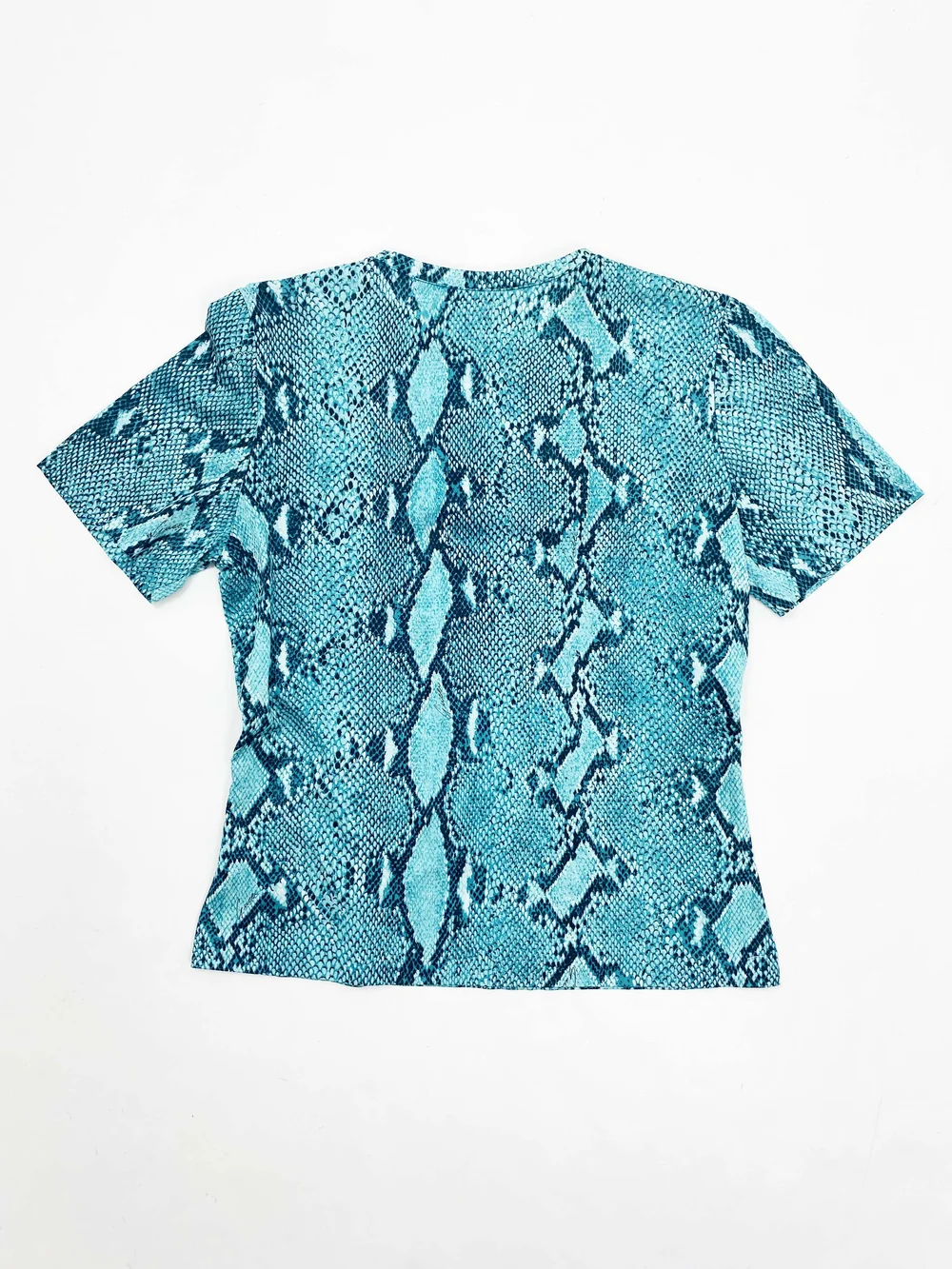 Gucci S/S 2000 blue snake print cotton t-shirt — JAMES VELORIA