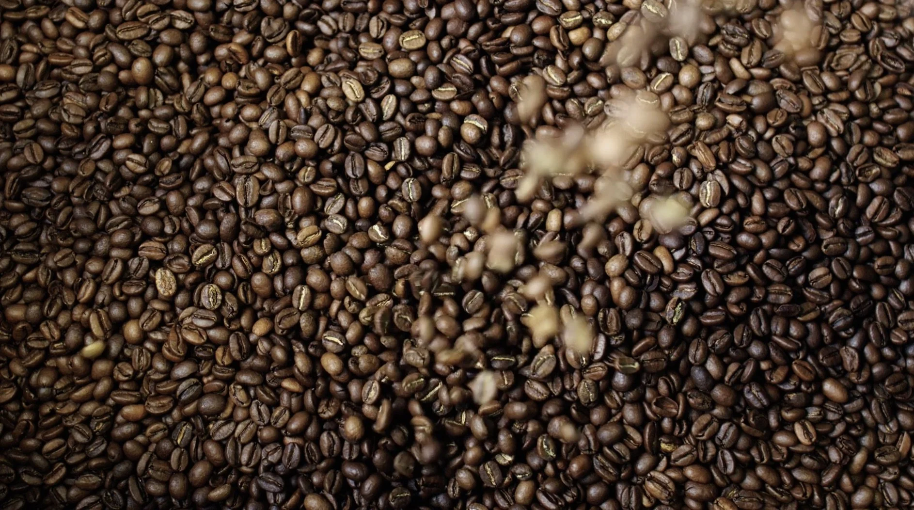First Espresso