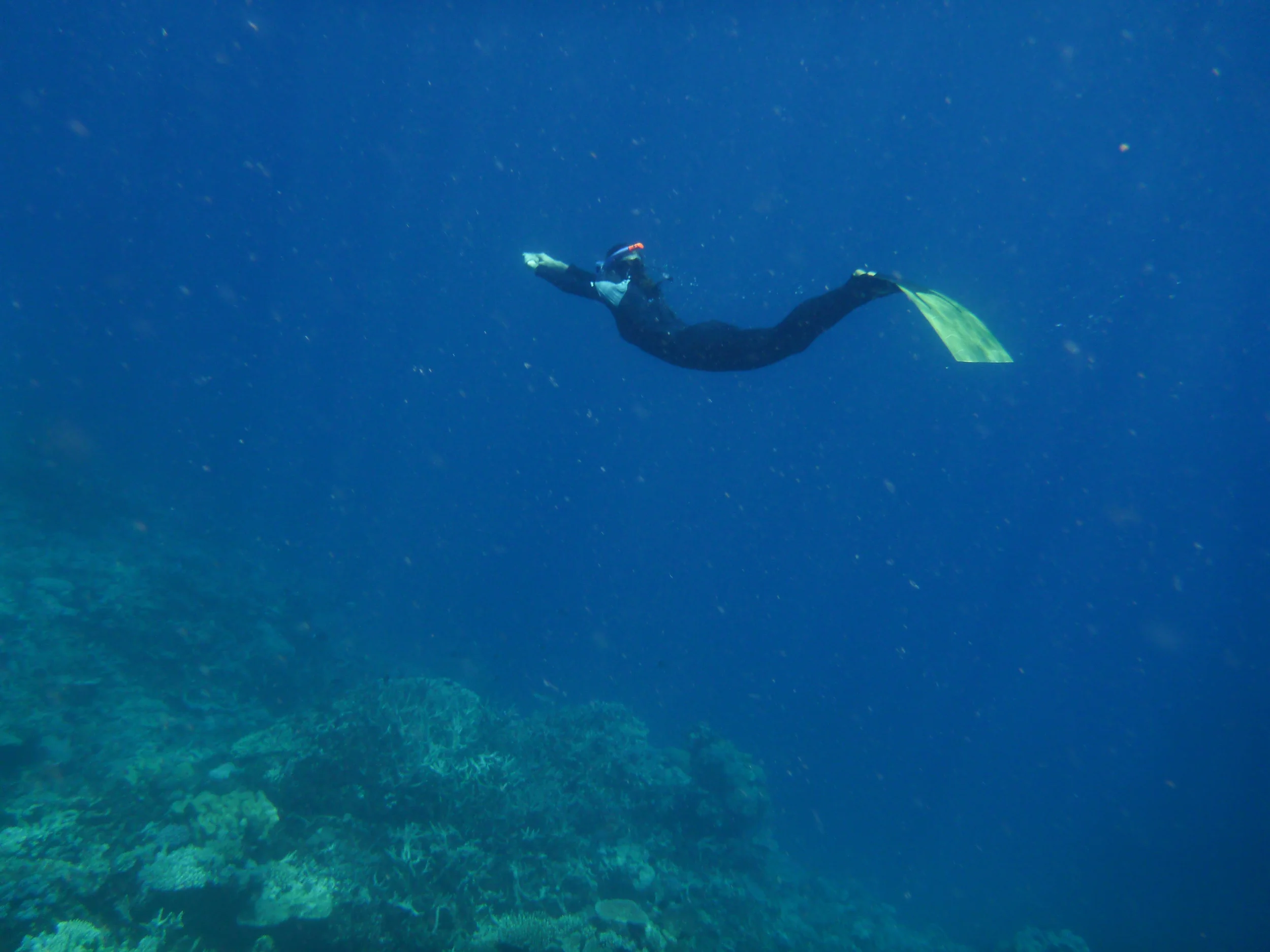 20150824Morris Familyuntitled shoot29.jpg