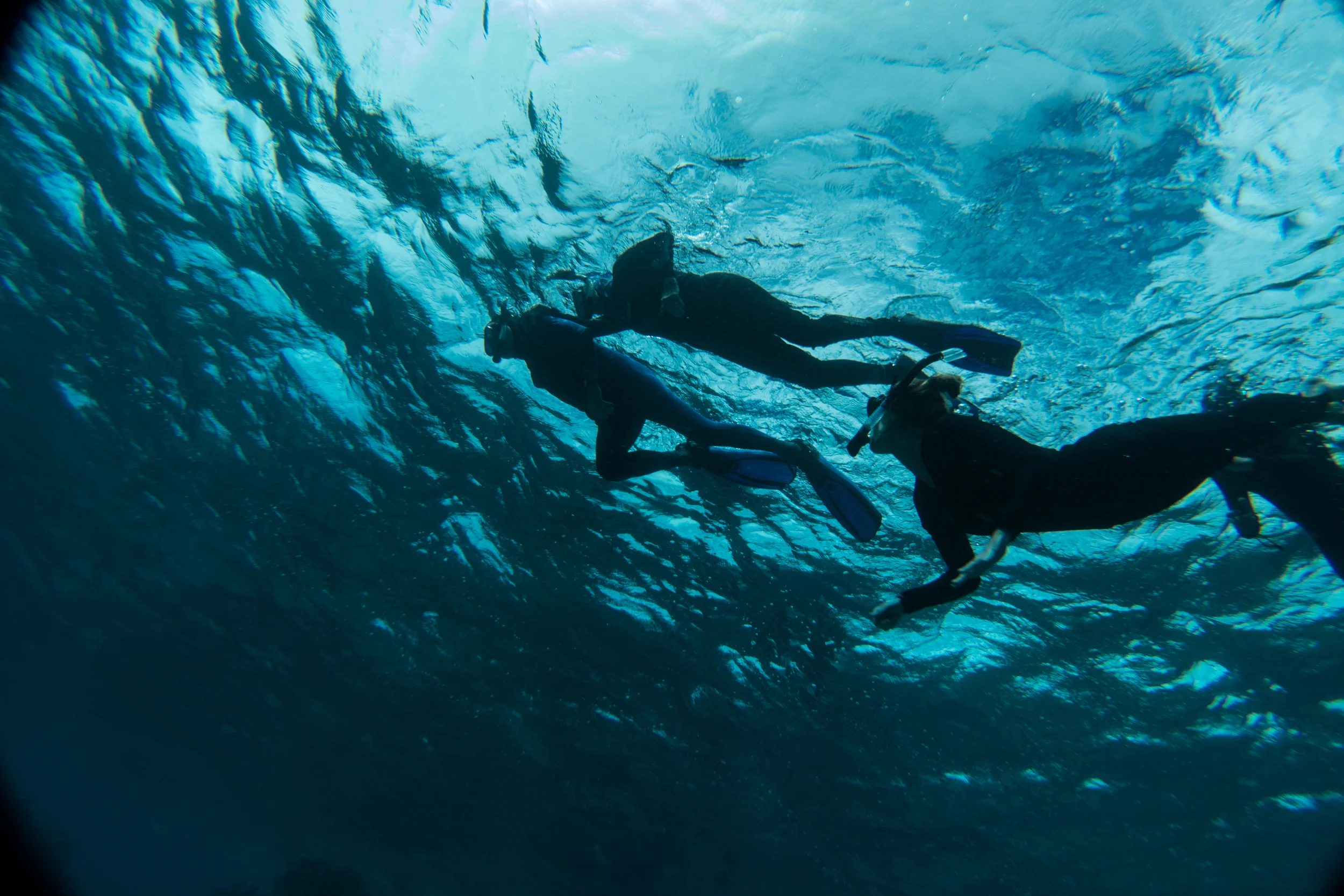 20150824Morris Familyuntitled shoot81.jpg