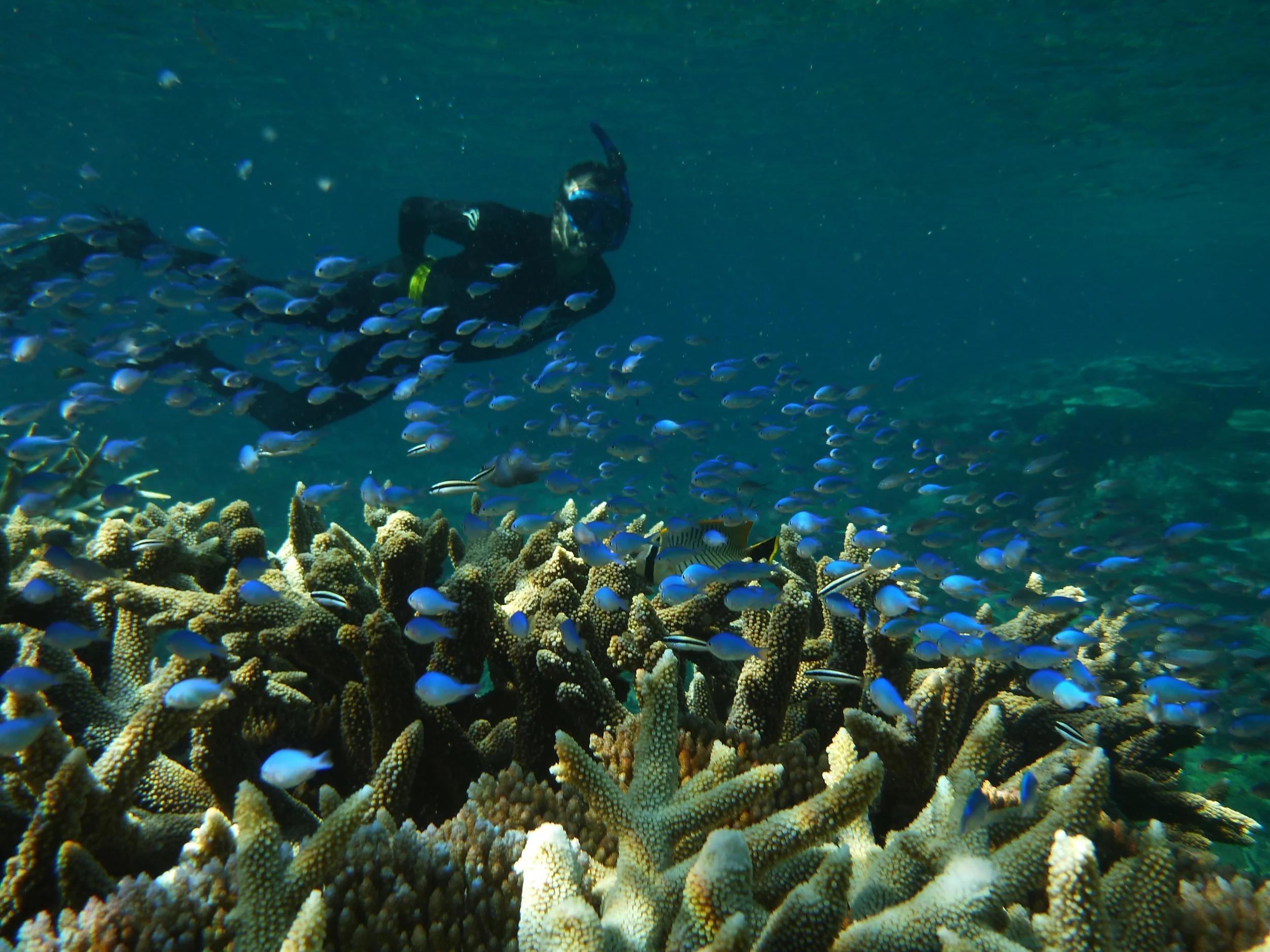 20150824Morris Familyuntitled shoot27.jpg