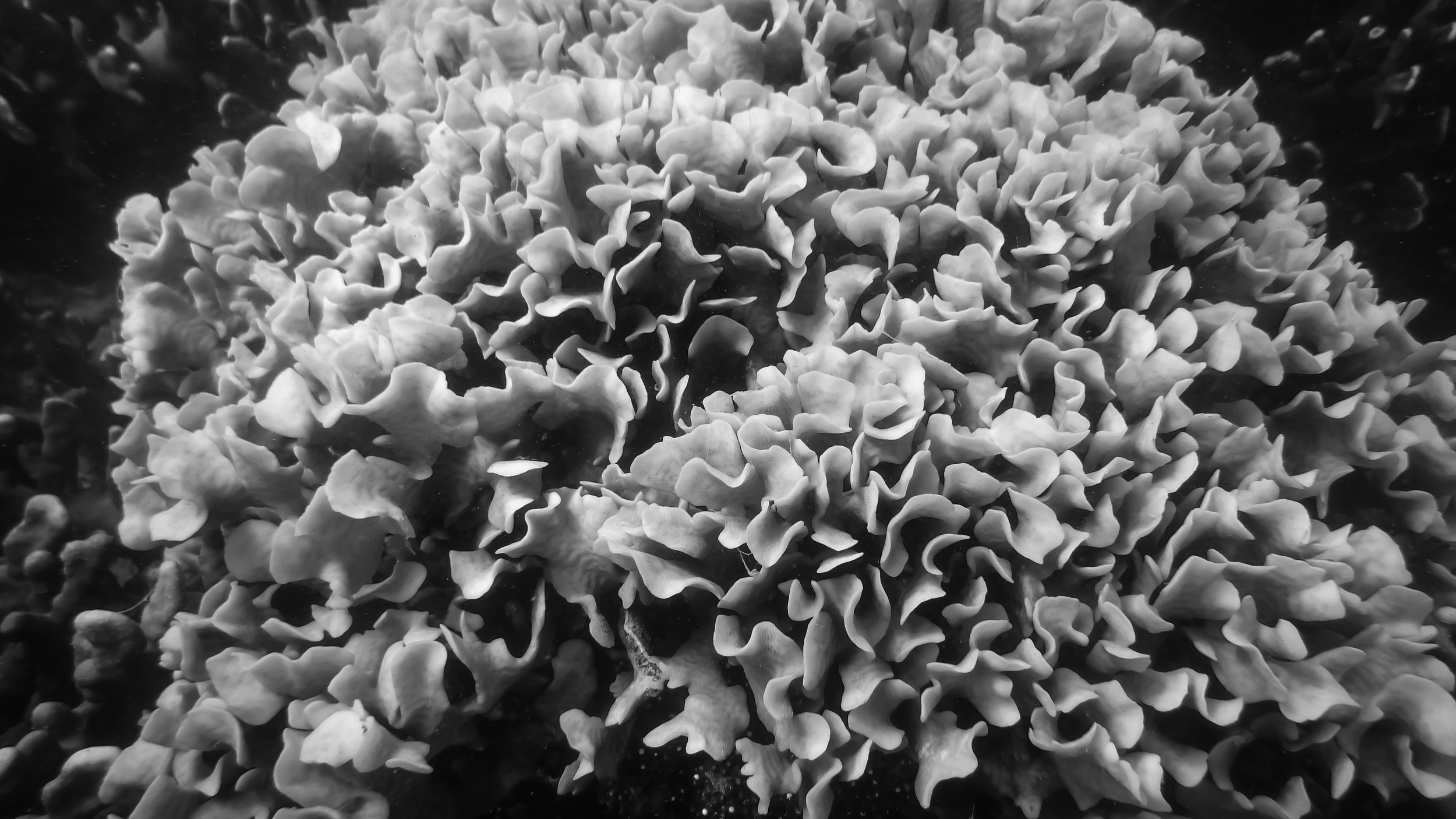 20150922untitleduntitled shoot3.jpg