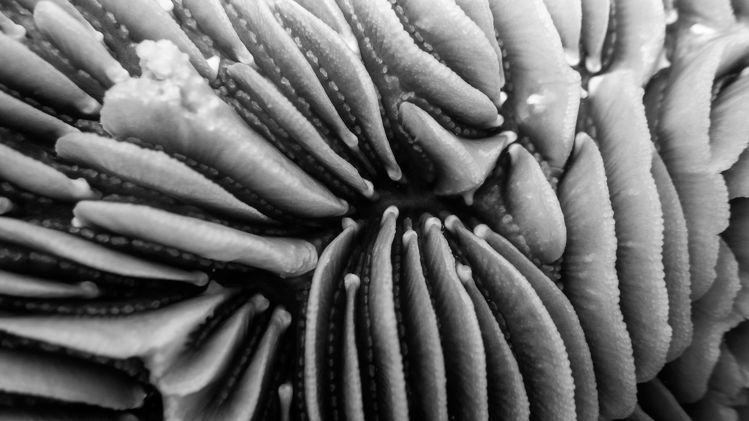 20150922untitleduntitled shoot4.jpg