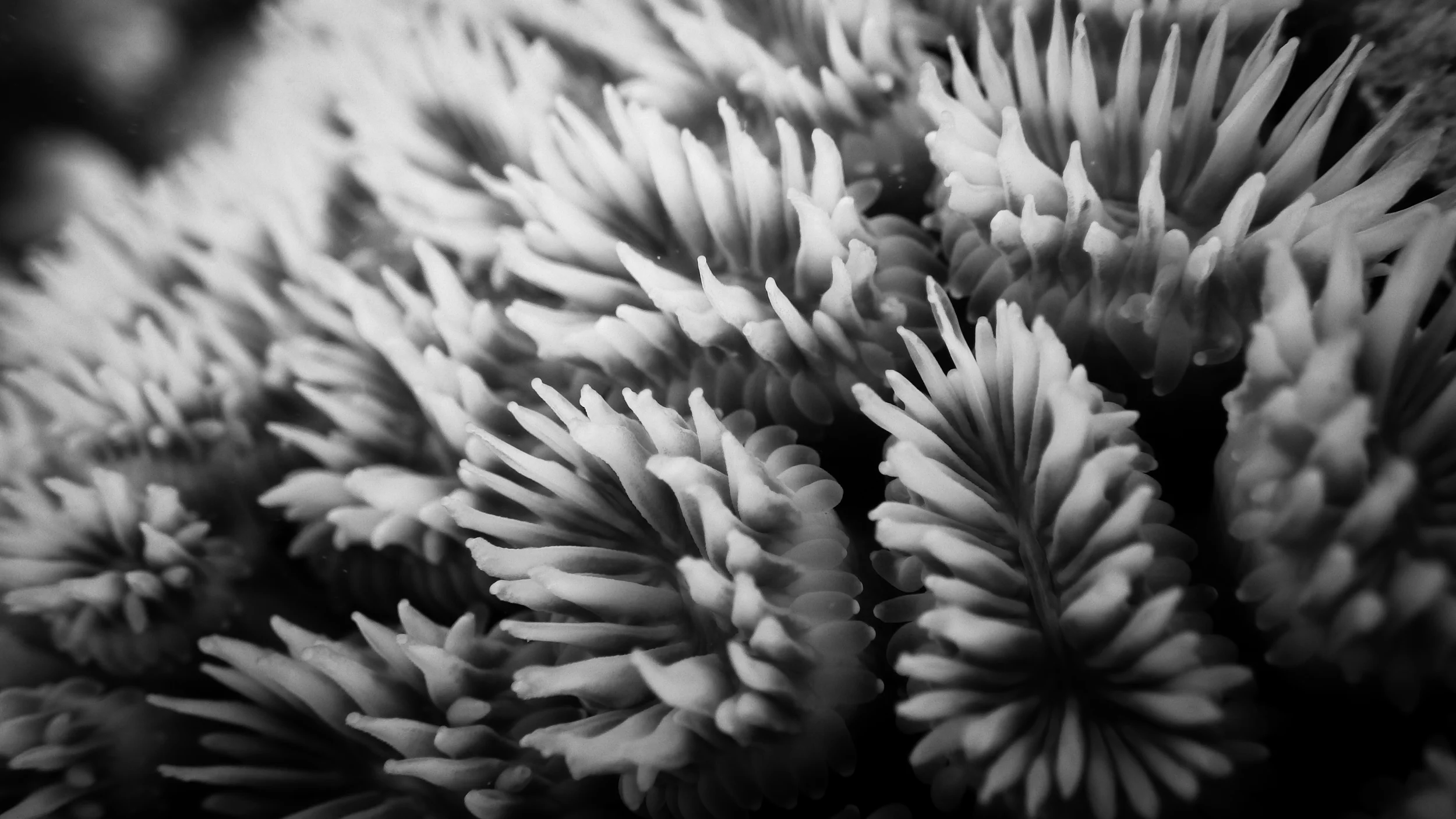 20150922untitleduntitled shoot5.jpg