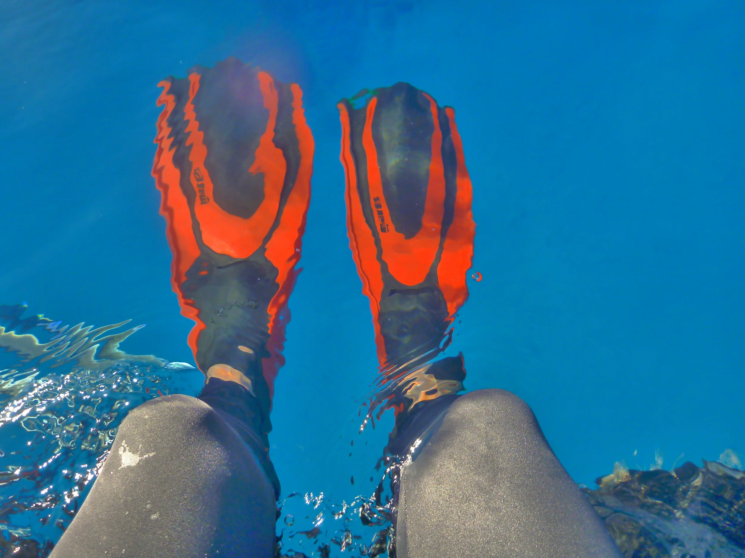 20150824Morris Familyuntitled shoot45.jpg