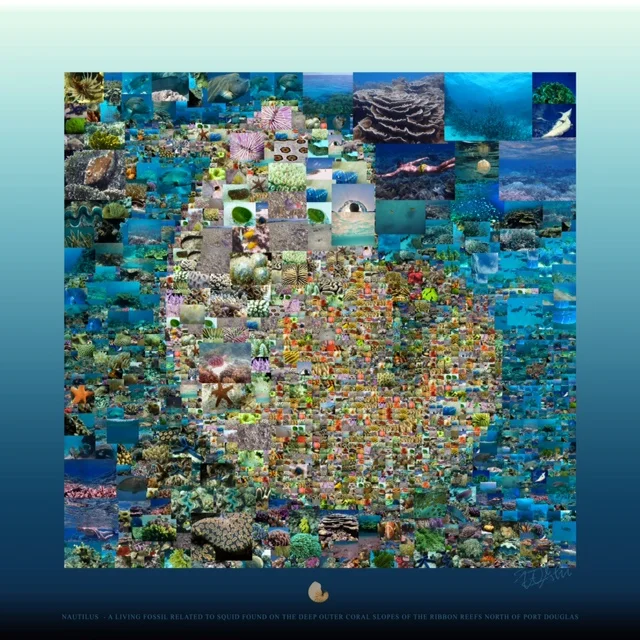 20151015 Nautilus 10 Mosaic LR.jpg