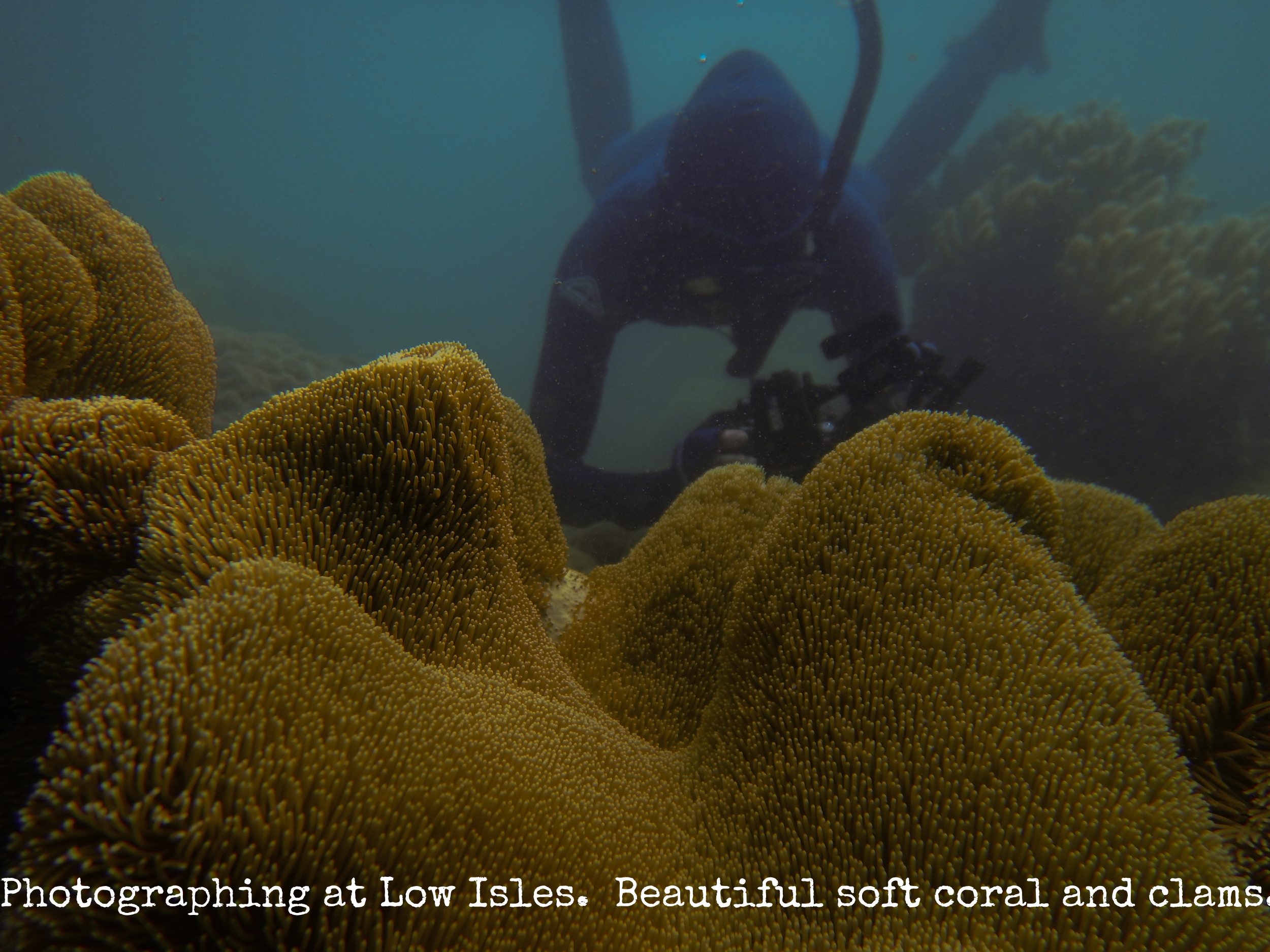 Reef Society-160402-WM Underwater-untitled shoot-6.jpg