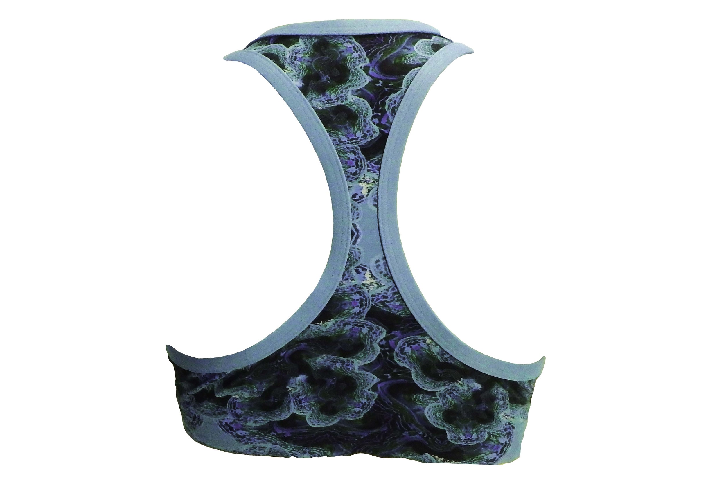 Reef Society-Clam Crop Back.jpg