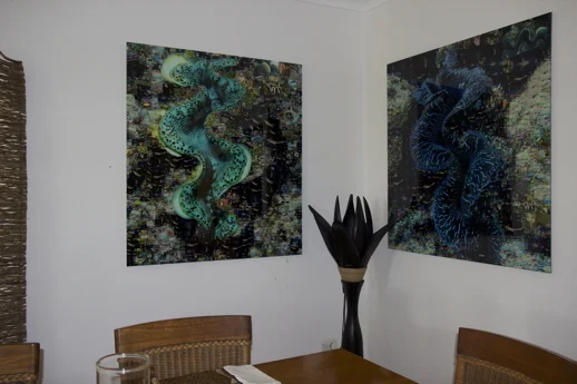 Wall art-Clam Pair.jpg