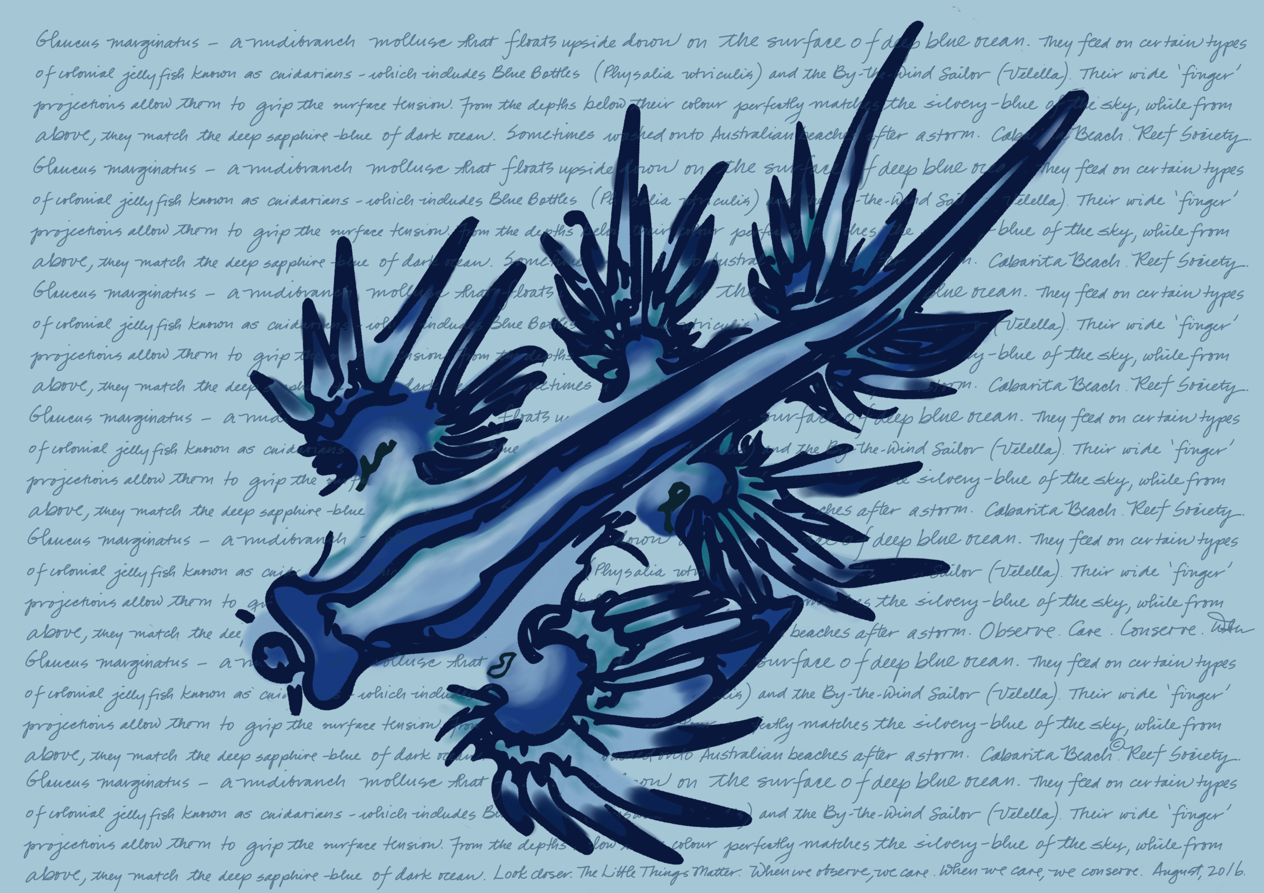 Glaucus 2.png